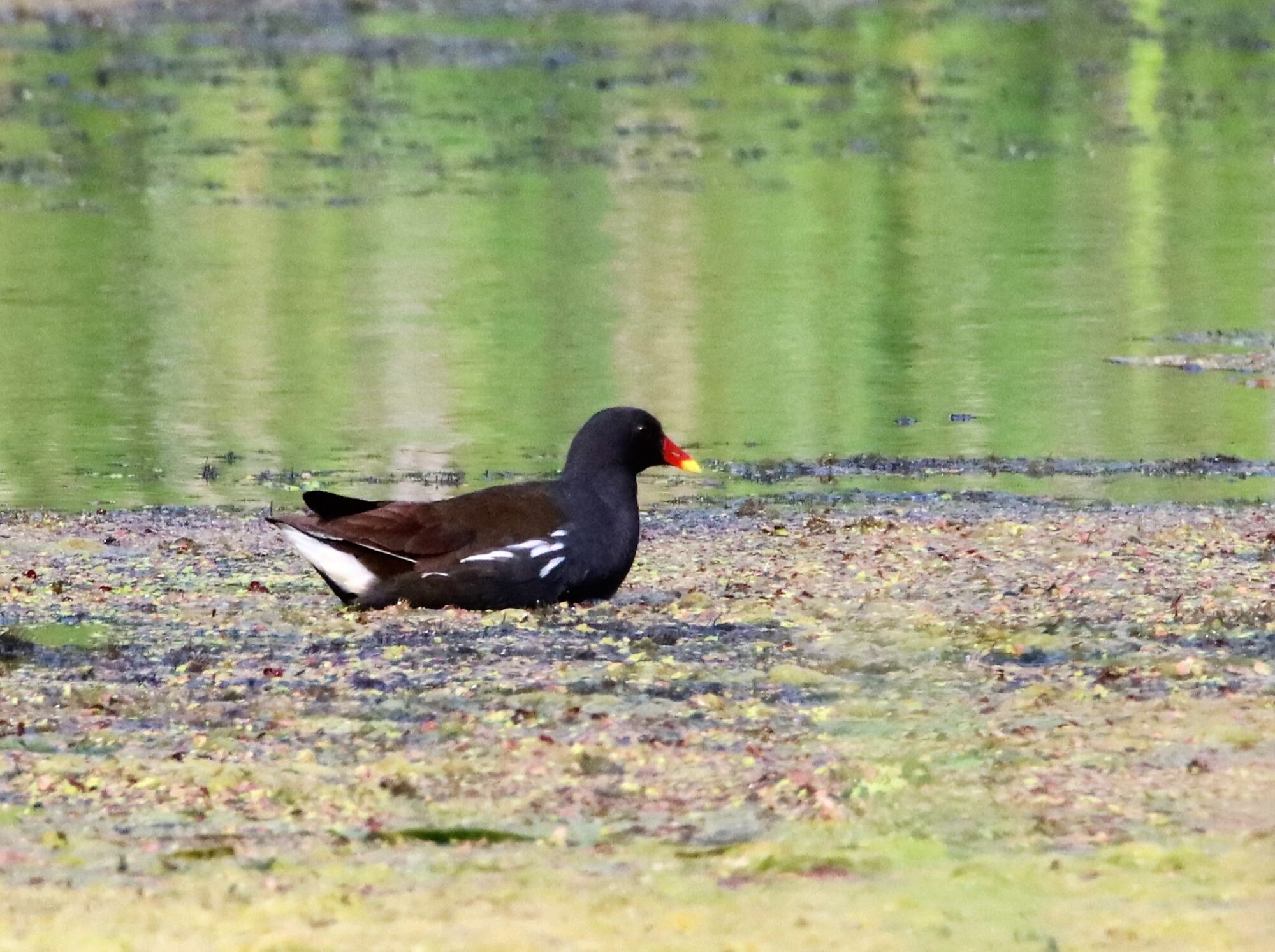 Valokuvaaja: Irja Lehtinen