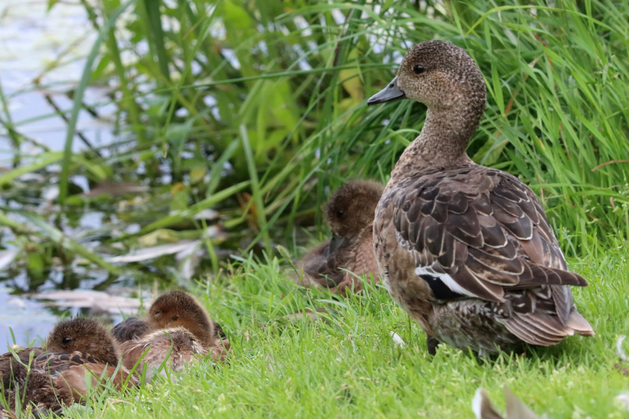 Valokuvaaja: Irja Lehtinen
