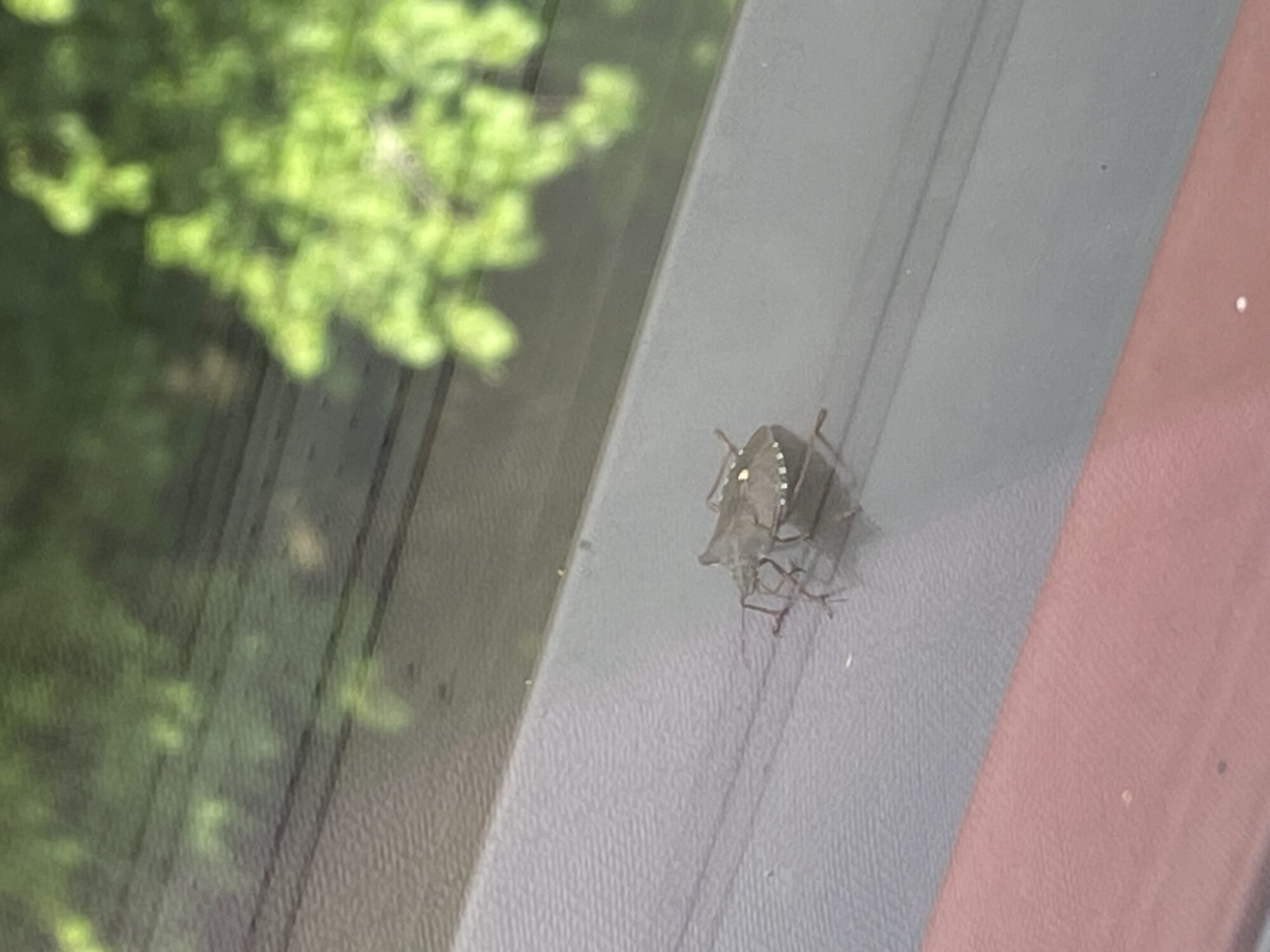 Valokuvaaja: Tomi Elo Valokuvaaja: Tomi Elo