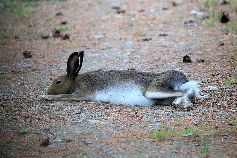 Valokuvaaja: Hannu Rasiranta Valokuvaaja: Hannu Rasiranta