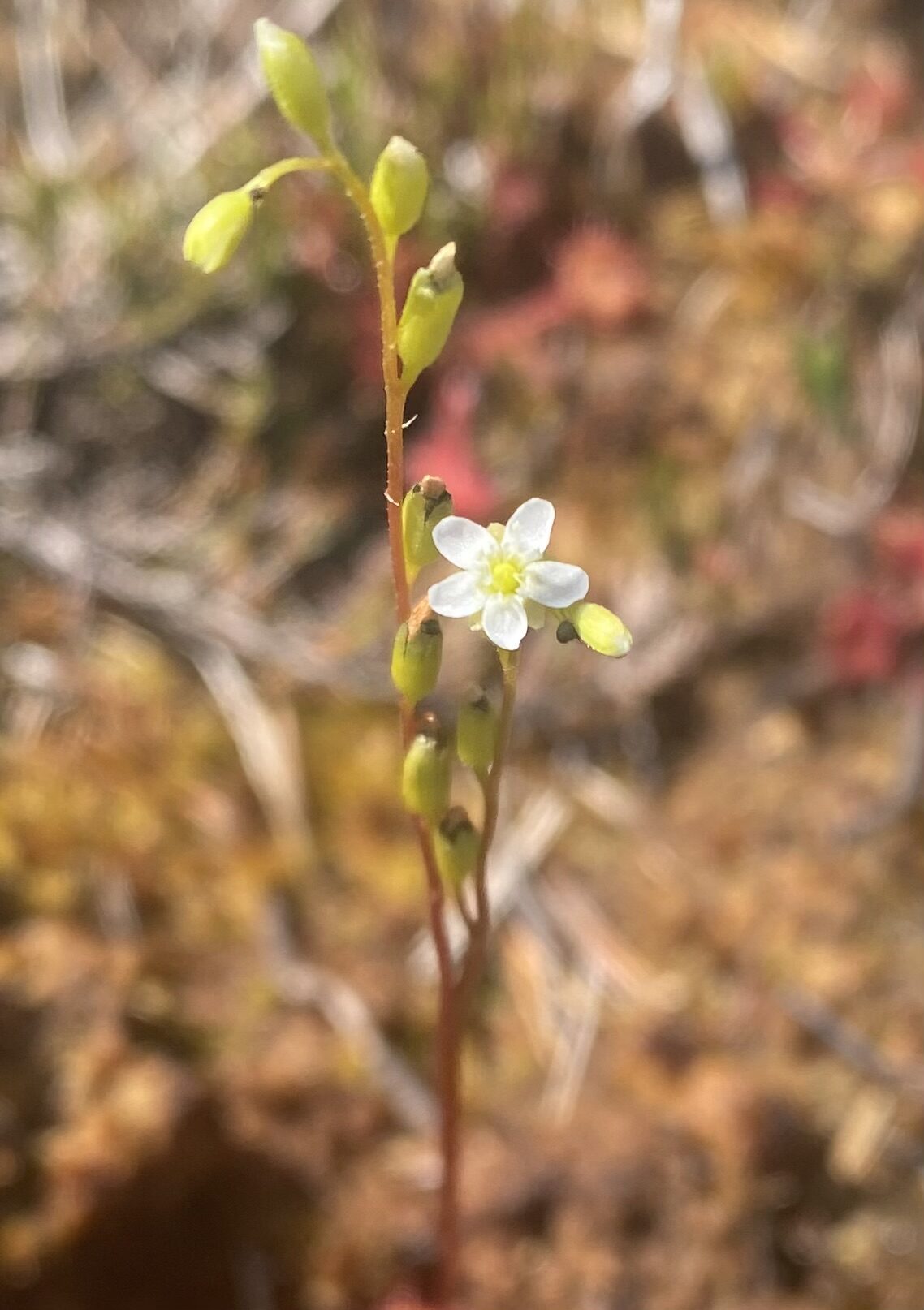 Valokuvaaja: Markku Ranta-Eilola