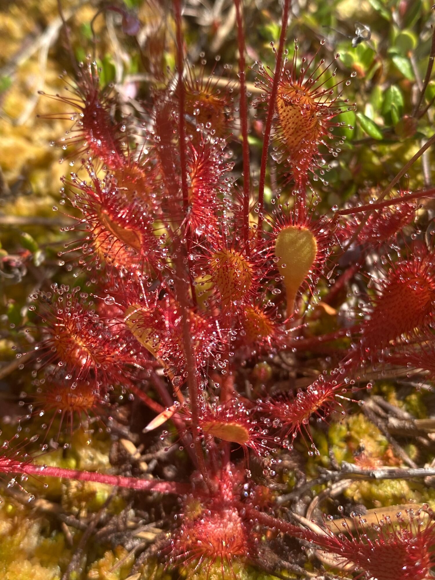 Valokuvaaja: Markku Ranta-Eilola