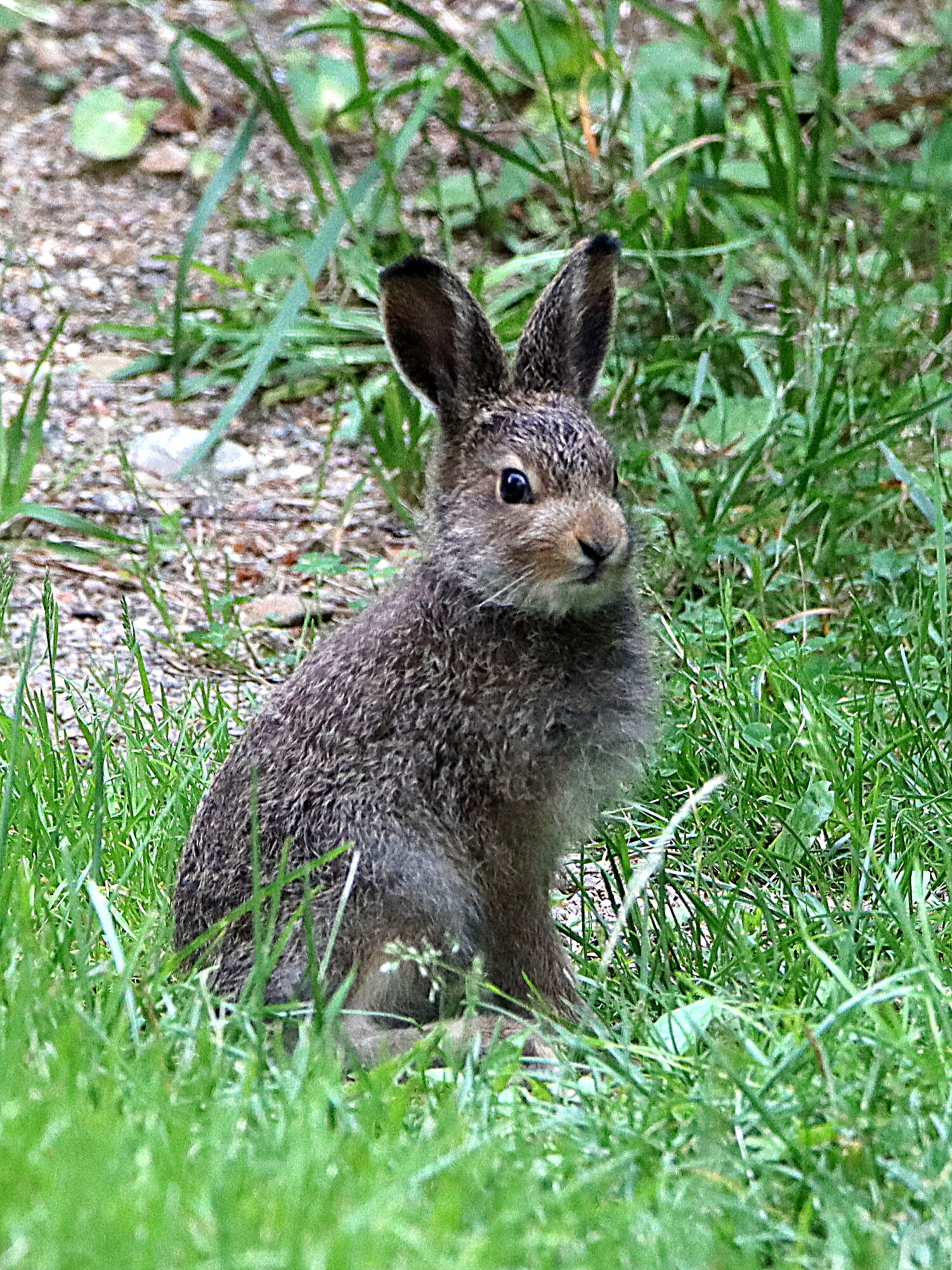 Valokuvaaja: Hannu Rasiranta Valokuvaaja: Hannu Rasiranta