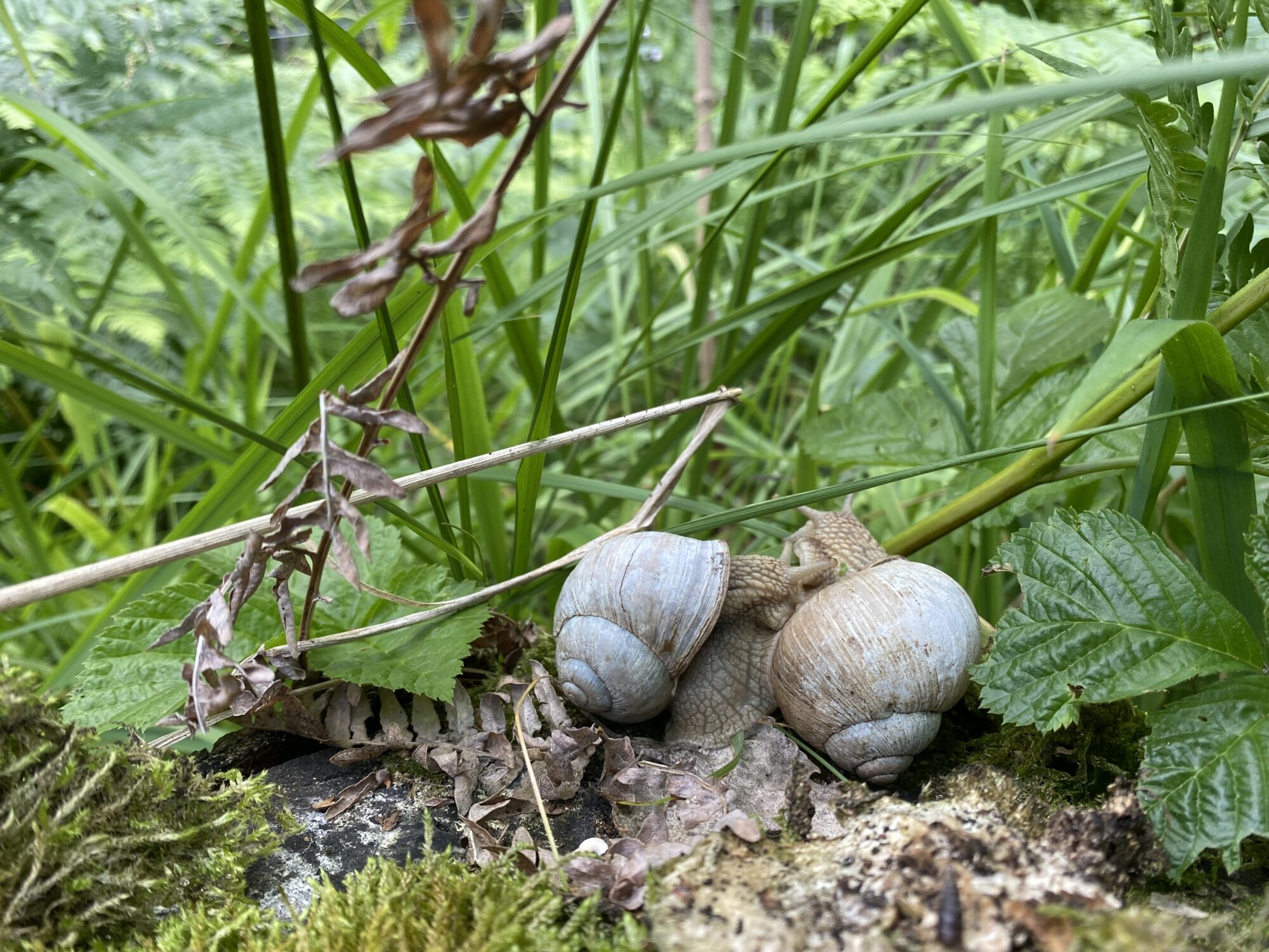 Valokuvaaja: Mia Kunnaskari