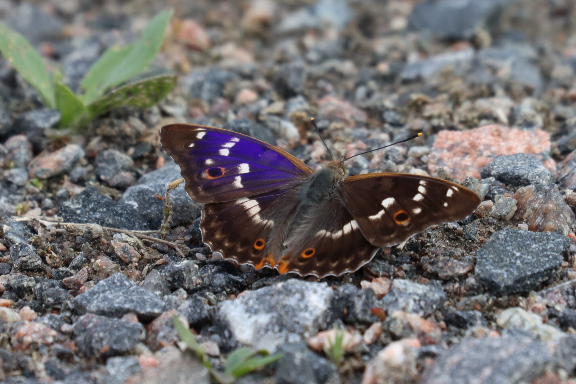 Valokuvaaja: Susanna Hannula
