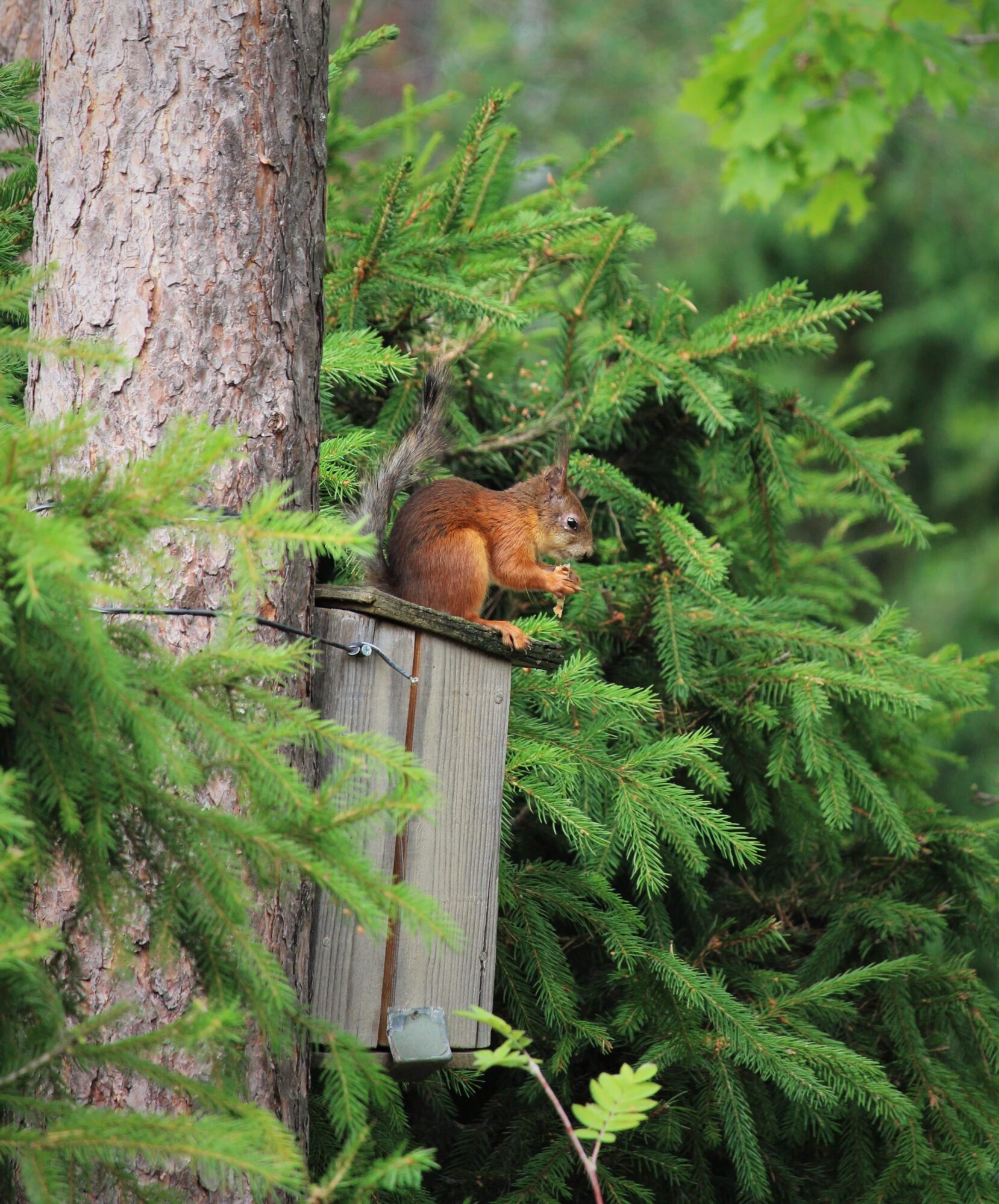 Valokuvaaja: Sari Salama