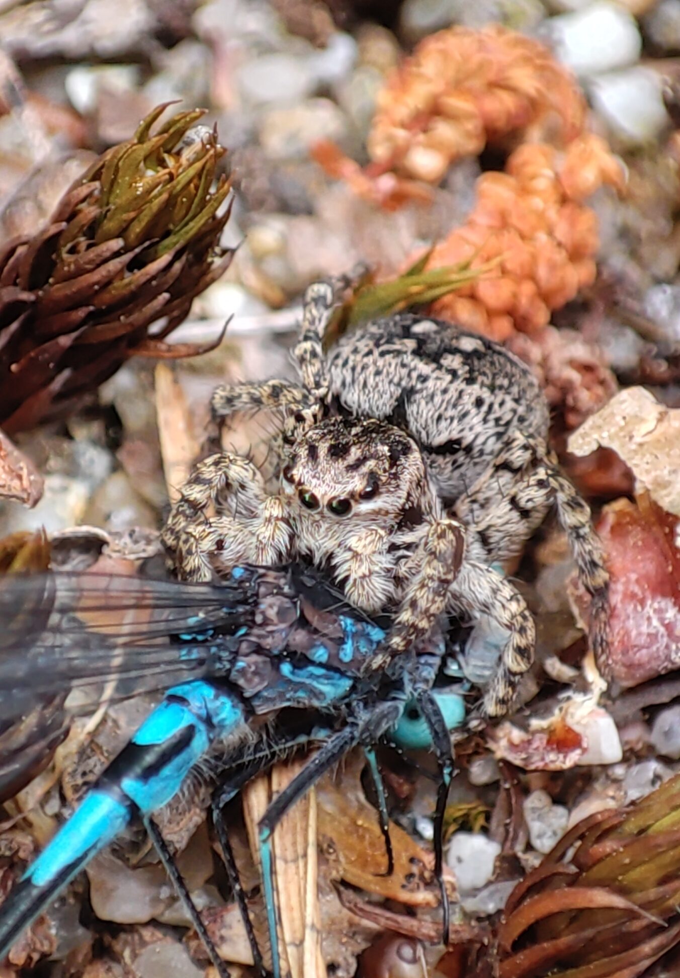 Valokuvaaja: Ida-Emilia Kaukonen