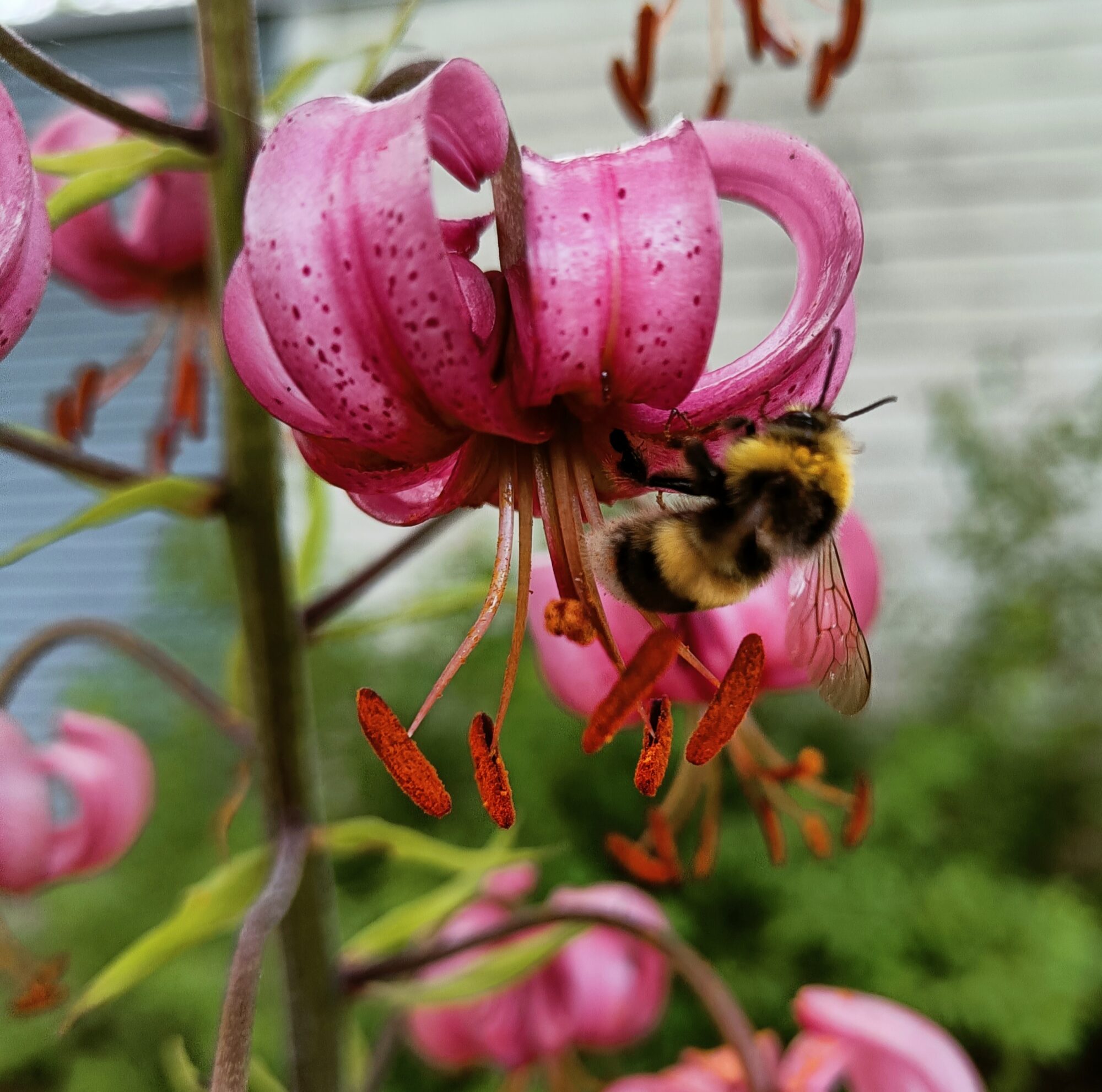 Valokuvaaja: Jussi Korhonen