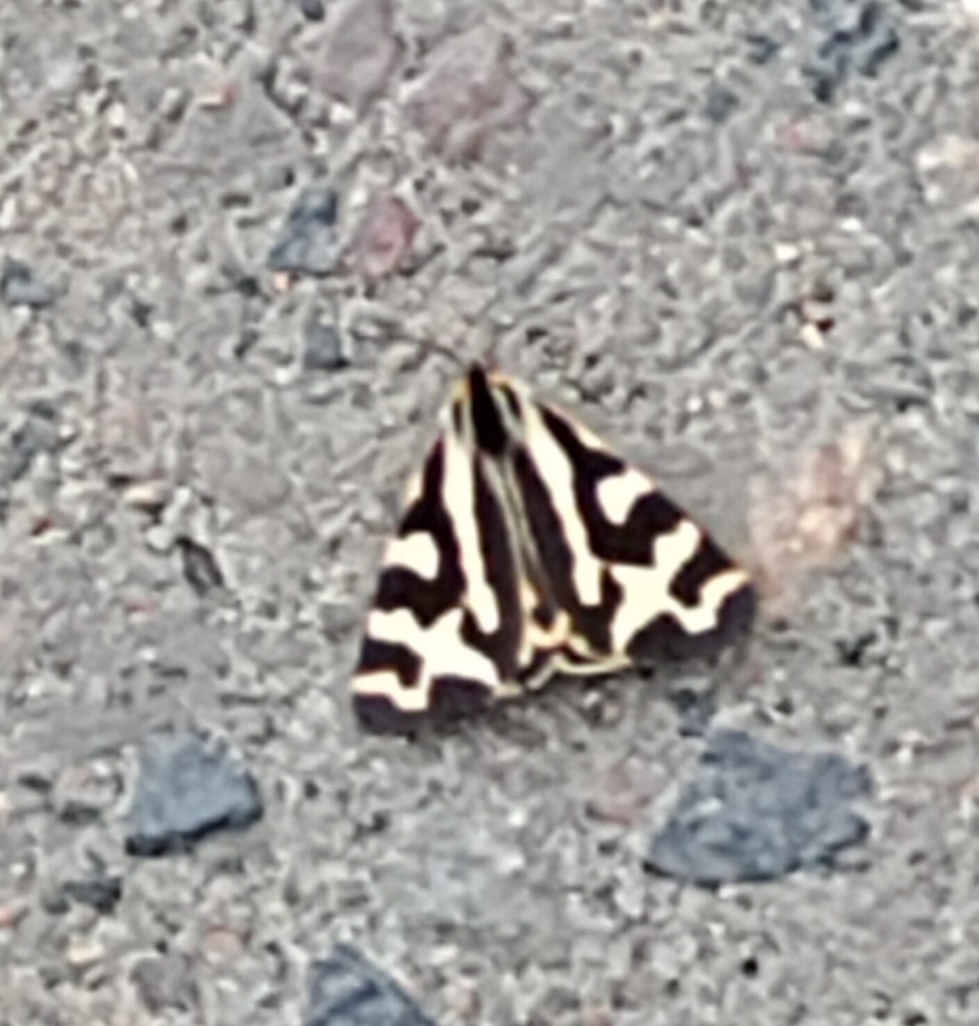 Valokuvaaja: Heikki Karjalainen