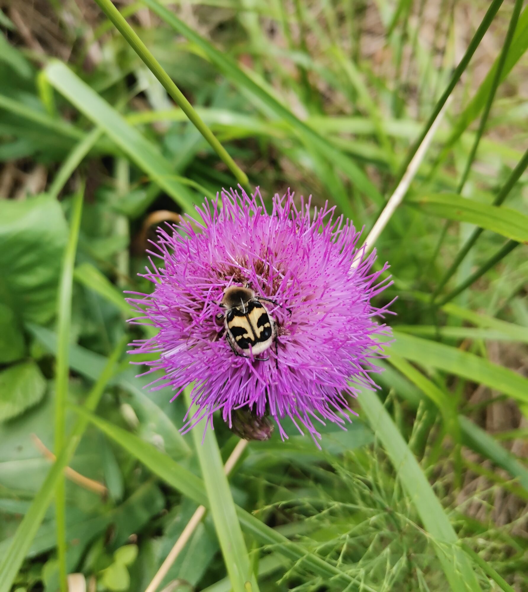 Valokuvaaja: Antti Qvist