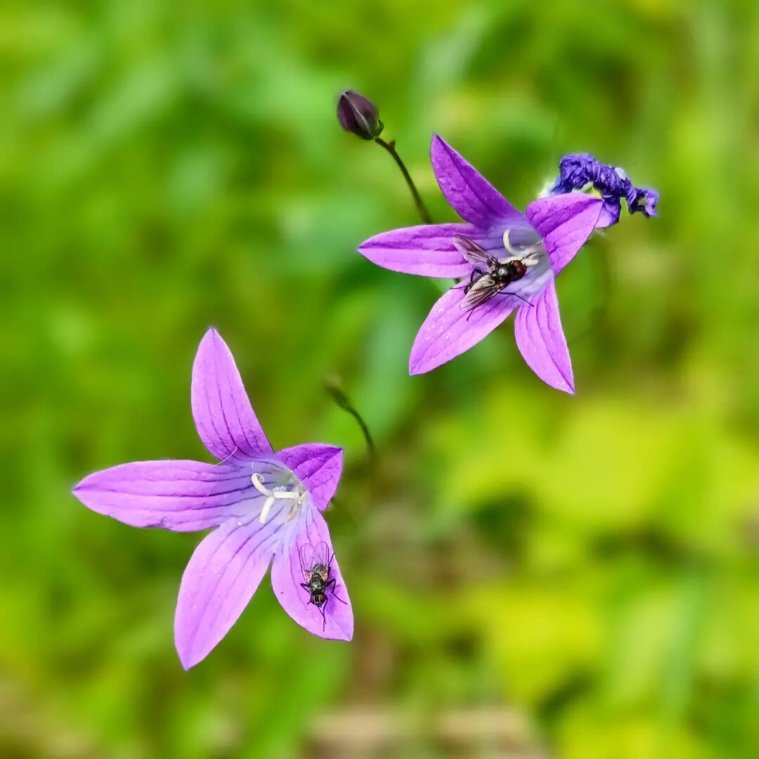Valokuvaaja: Marketta Kokko