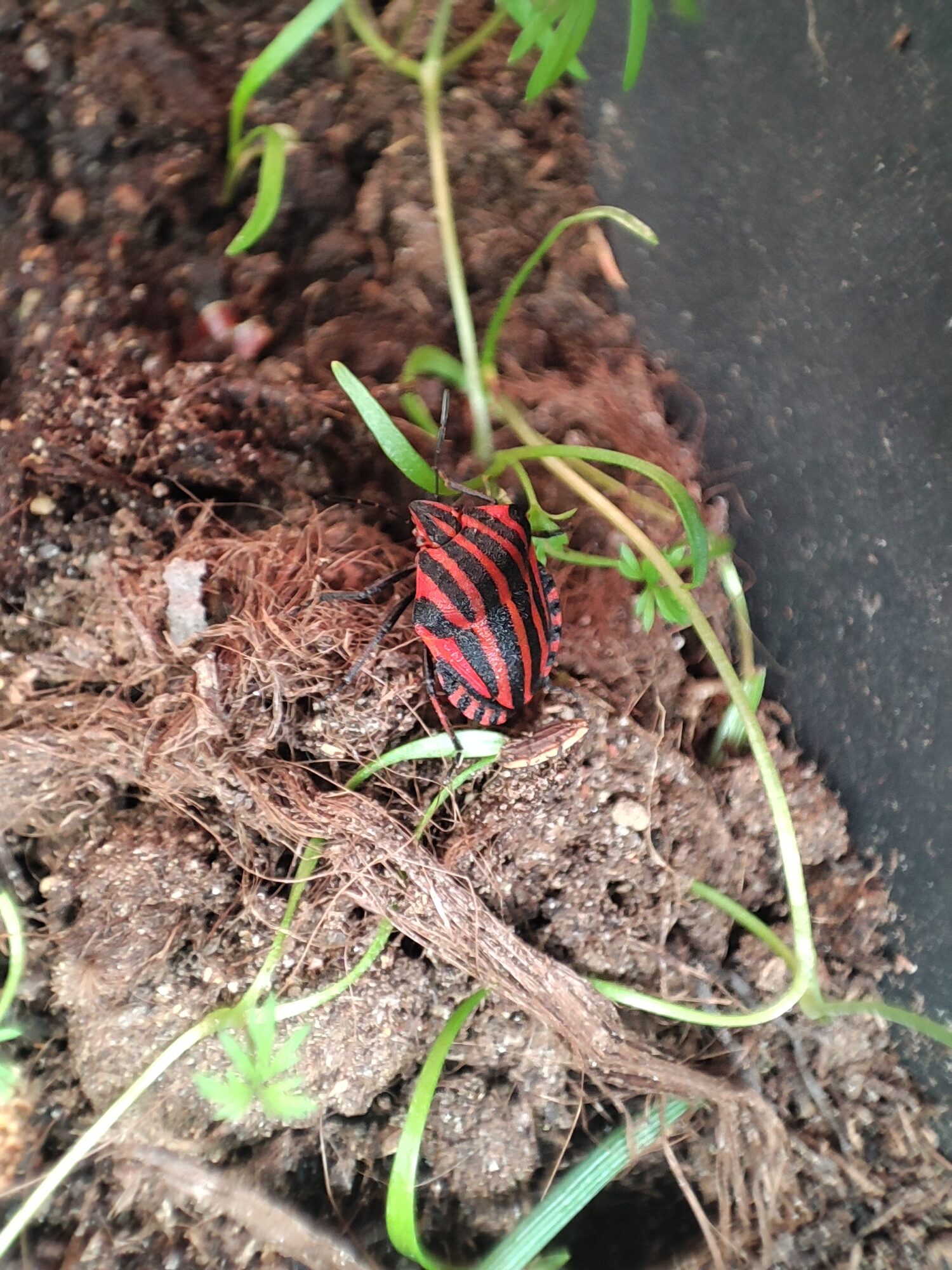 Valokuvaaja: Teea Rissanen