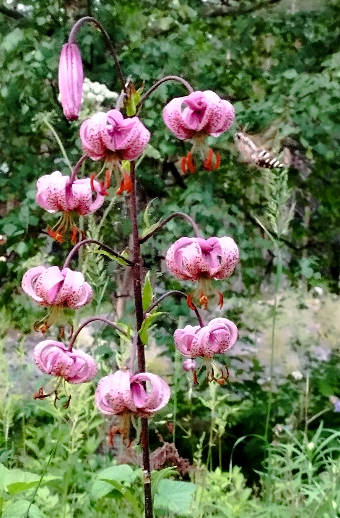 Valokuvaaja: Tiina R