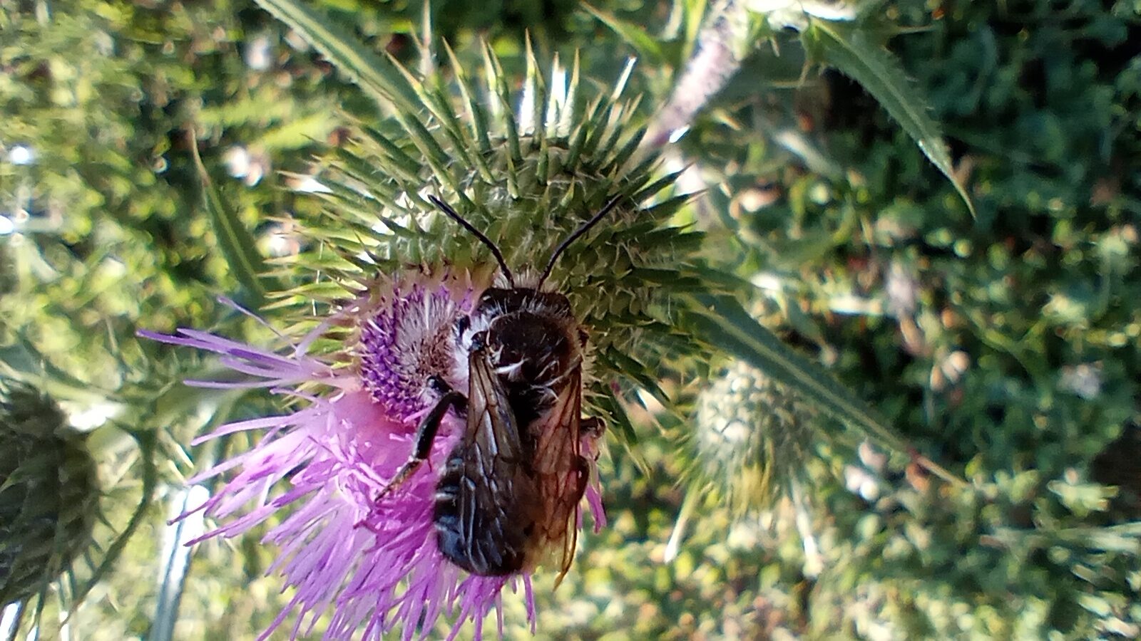 Valokuvaaja: Heli Lehtonen Valokuvaaja: Heli Lehtonen