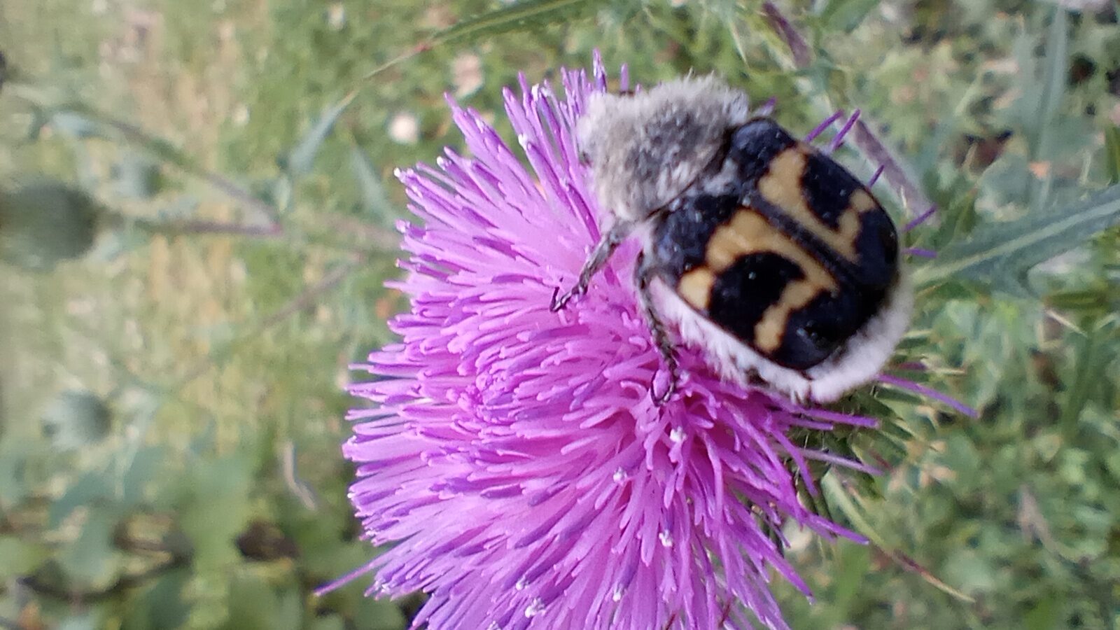 Valokuvaaja: Heli Lehtonen