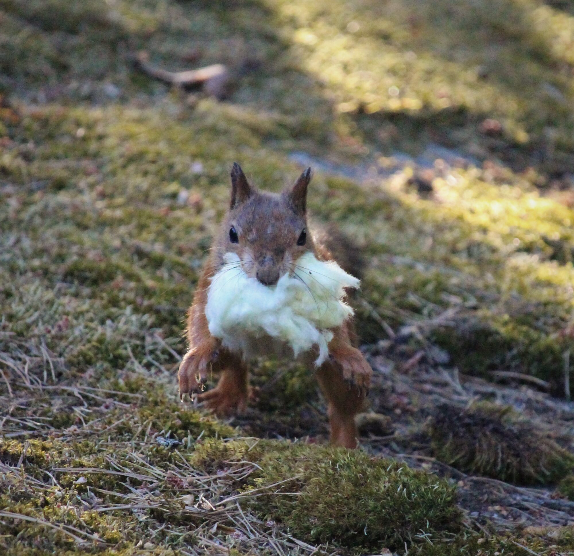 Valokuvaaja: Sari Salama
