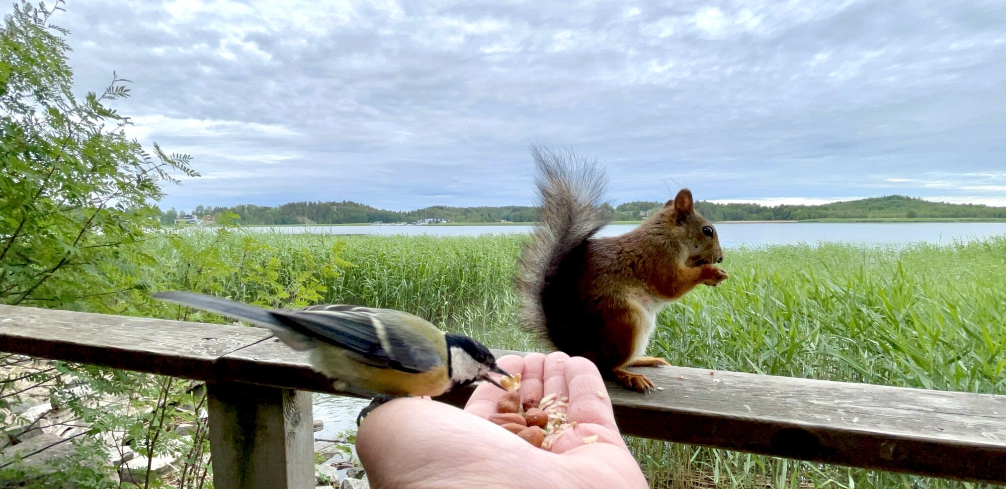 Valokuvaaja: Juhani Peltonen