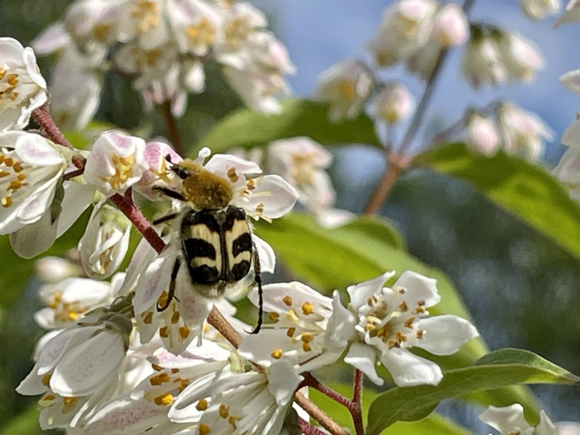 Valokuvaaja: Liisa Niiva-Korpela