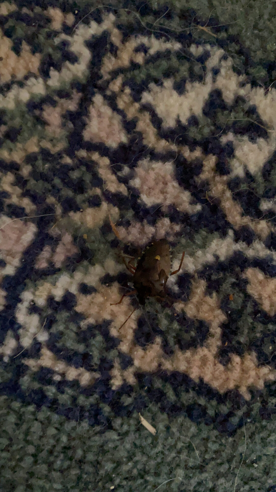 Valokuvaaja: Kari Niinisalo