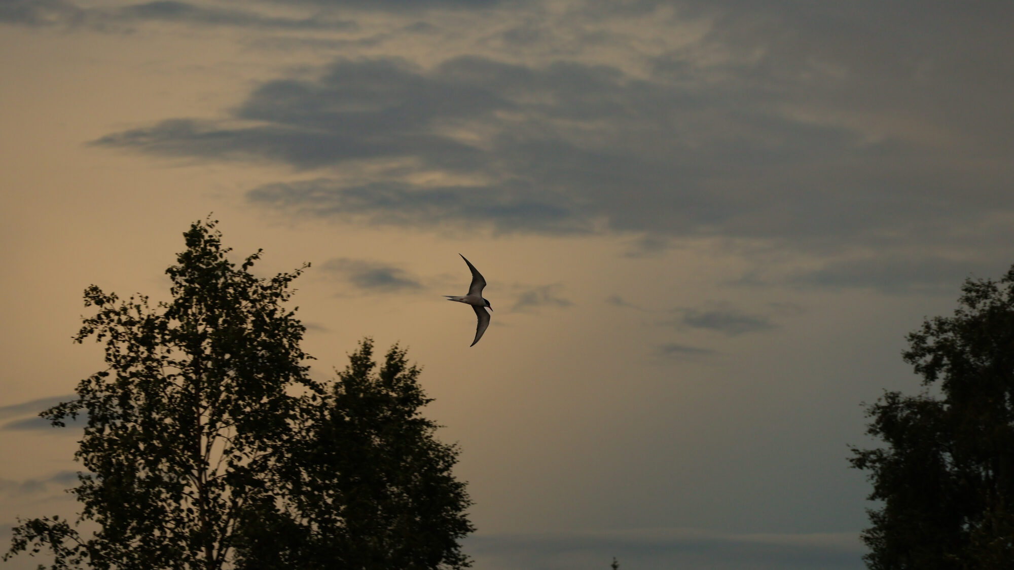 Valokuvaaja: Leevi Halme