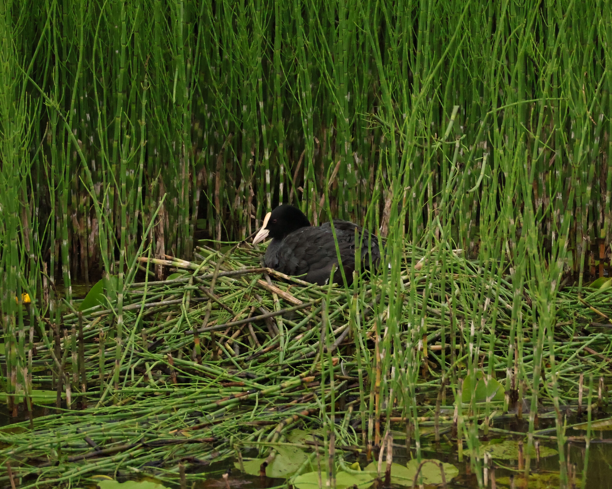 Valokuvaaja: Leevi Halme