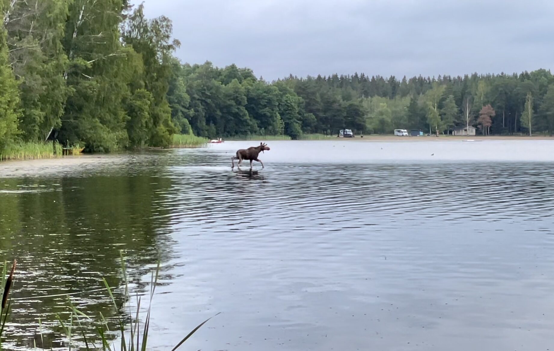 Valokuvaaja: Juhani Peltonen