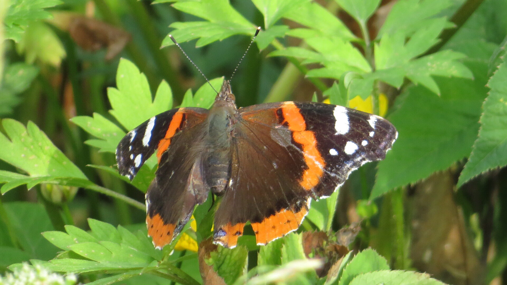 Valokuvaaja: Risto Kangassalo