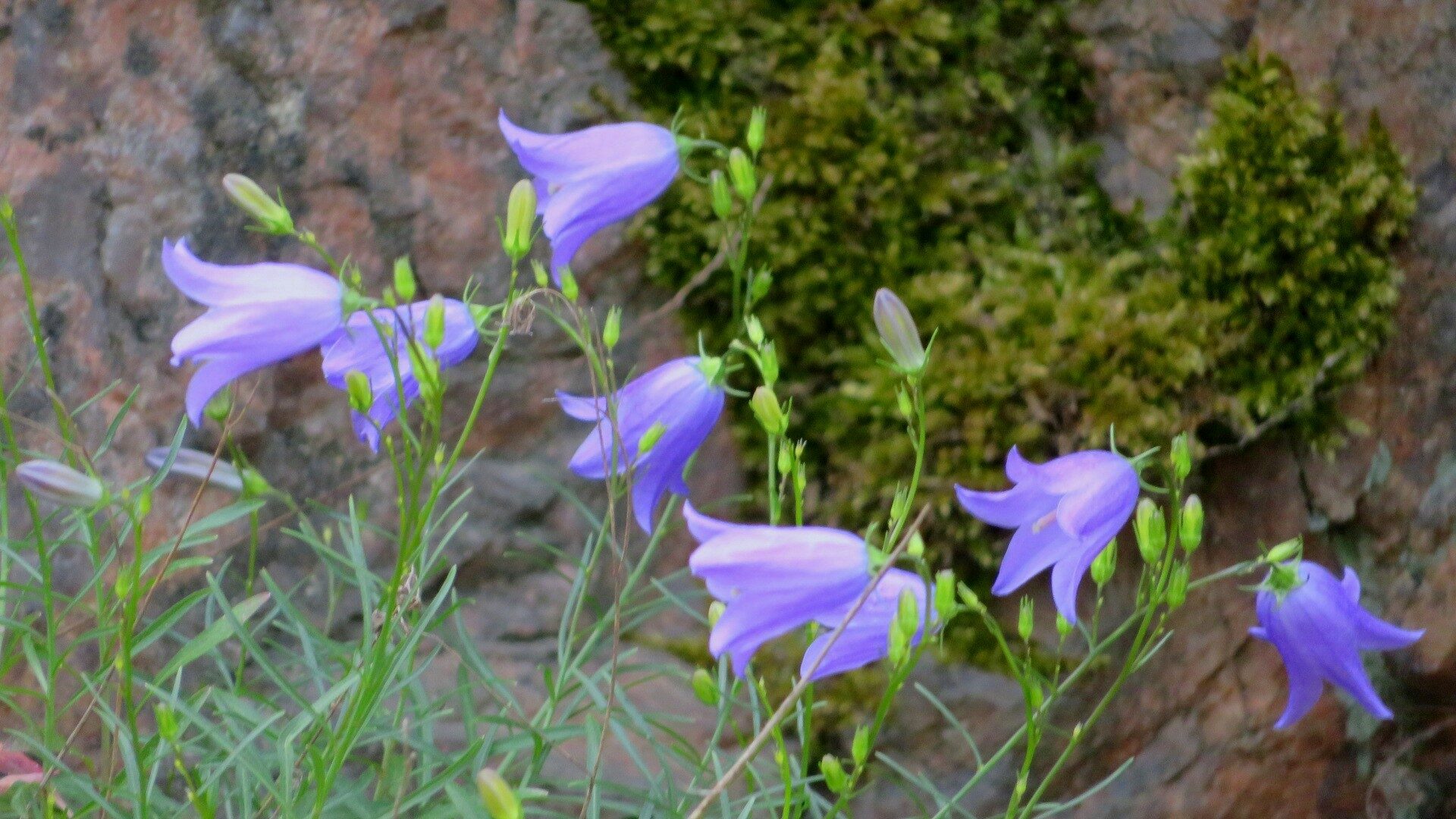 Valokuvaaja: Risto Kangassalo Valokuvaaja: Risto Kangassalo