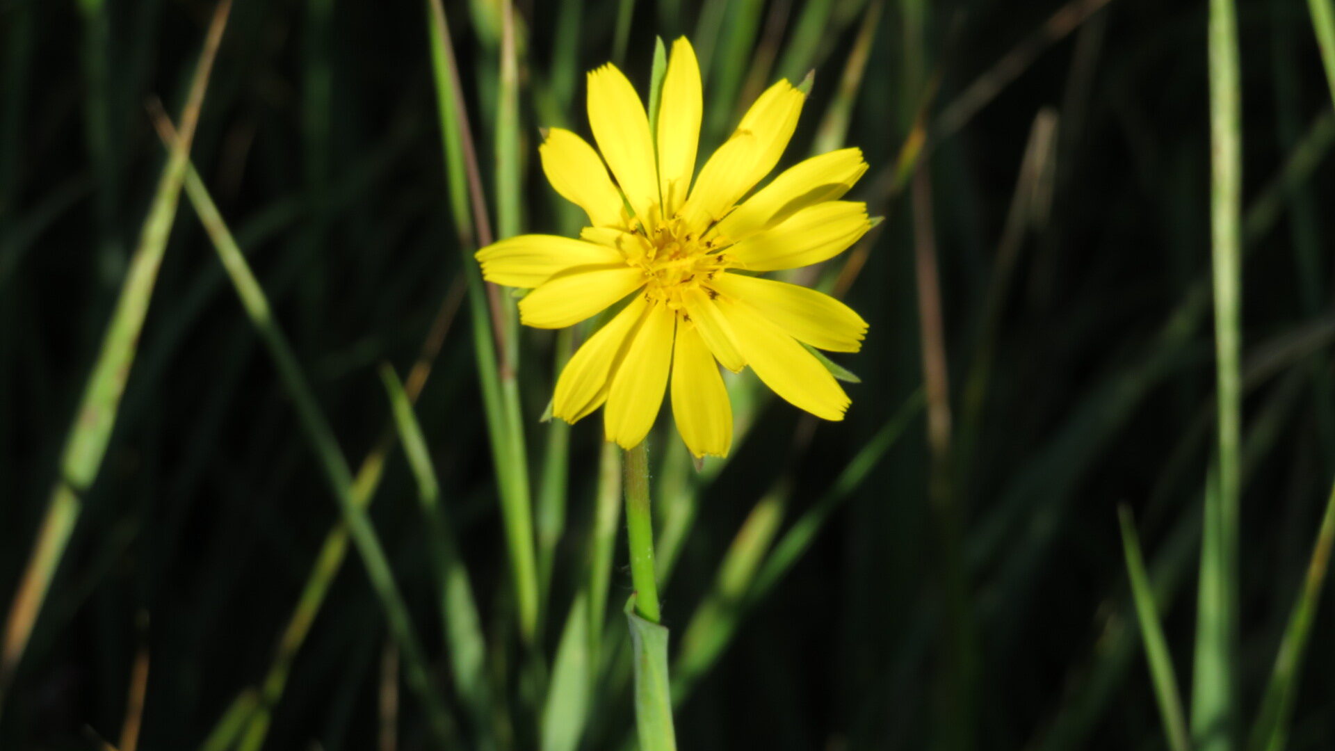 Valokuvaaja: Risto Kangassalo