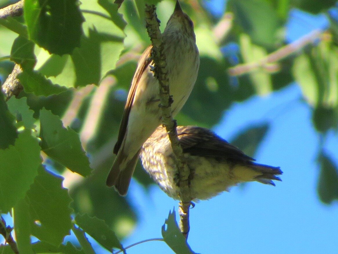 Valokuvaaja: Risto Kangassalo