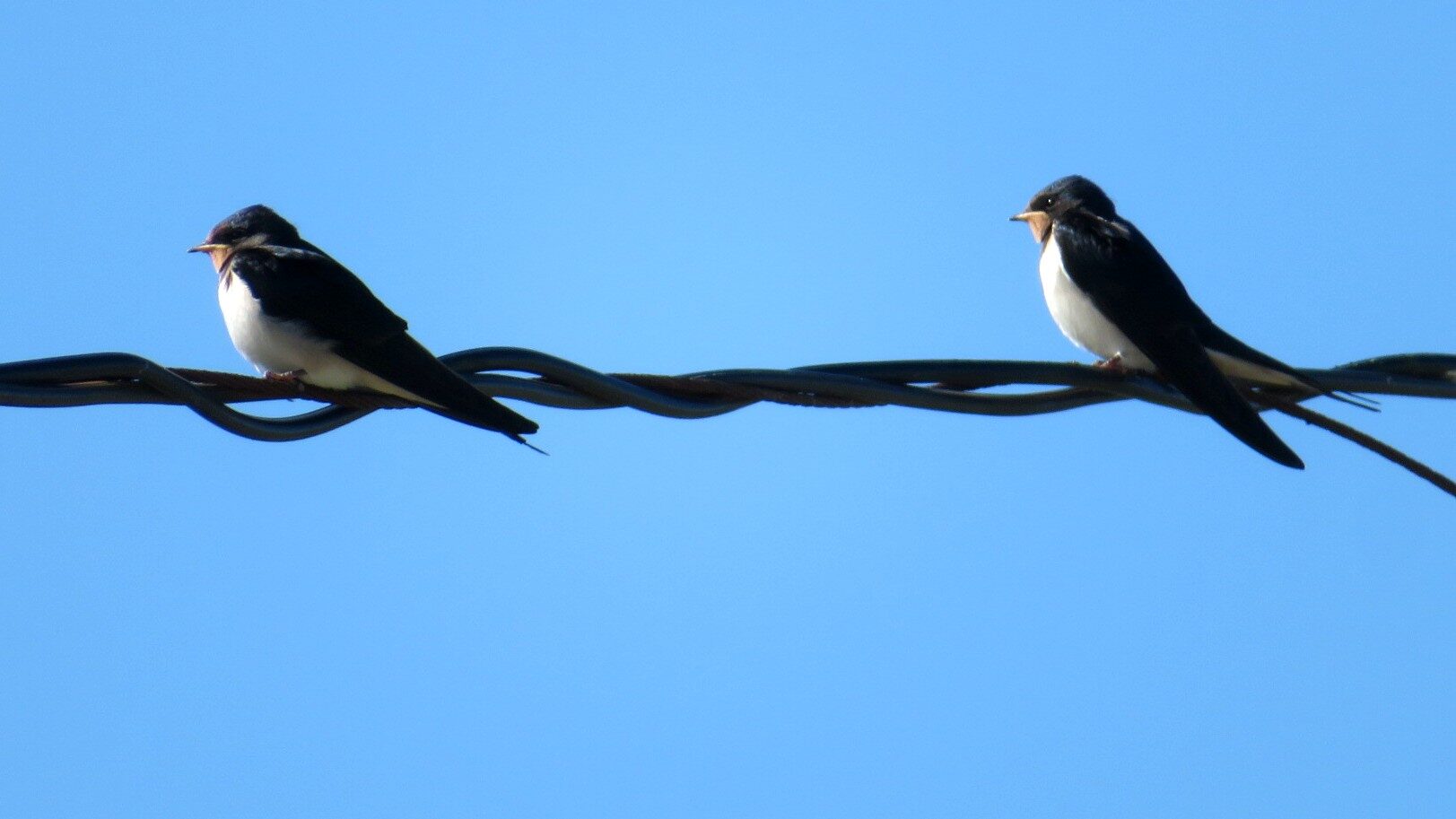 Valokuvaaja: Risto Kangassalo