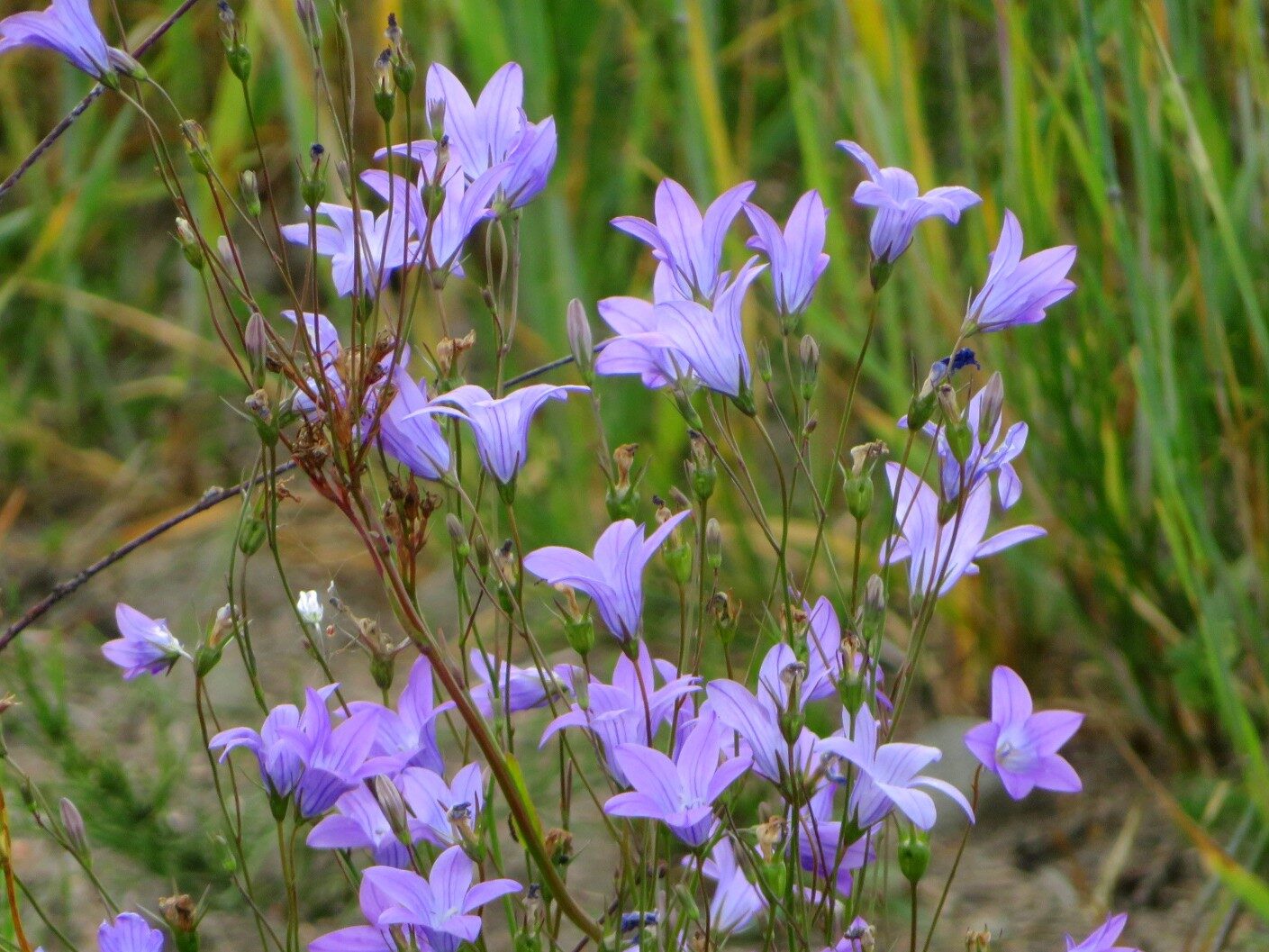 Valokuvaaja: Risto Kangassalo