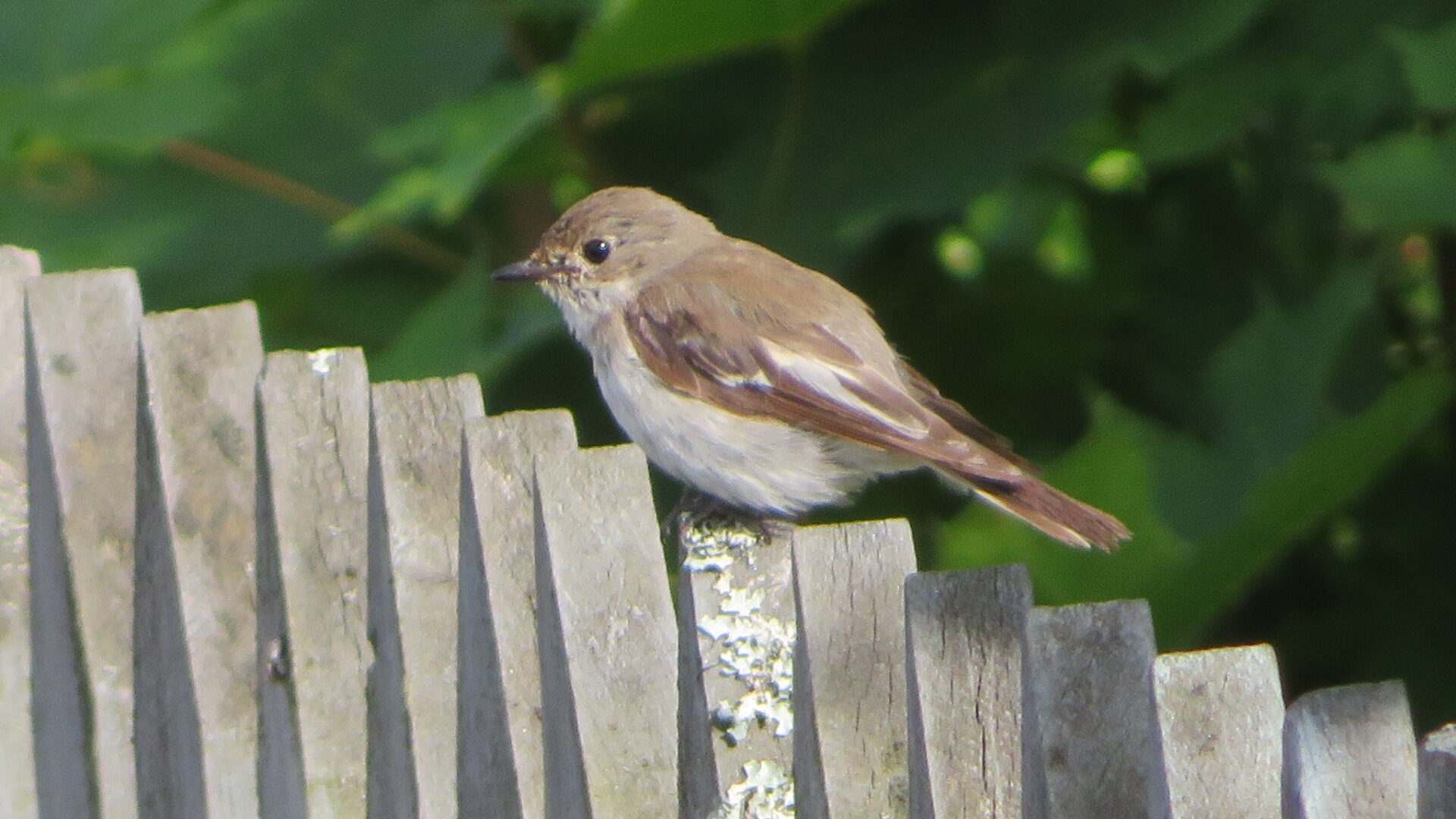 Valokuvaaja: Risto Kangassalo Valokuvaaja: Risto Kangassalo