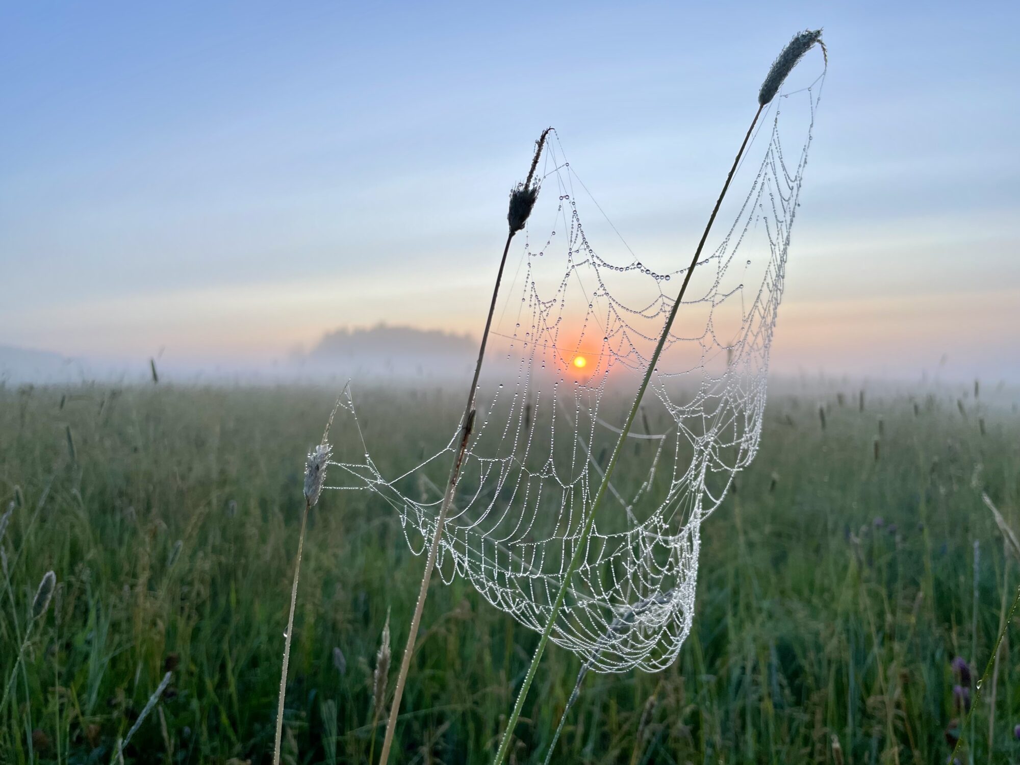 Valokuvaaja: Juhani Peltonen