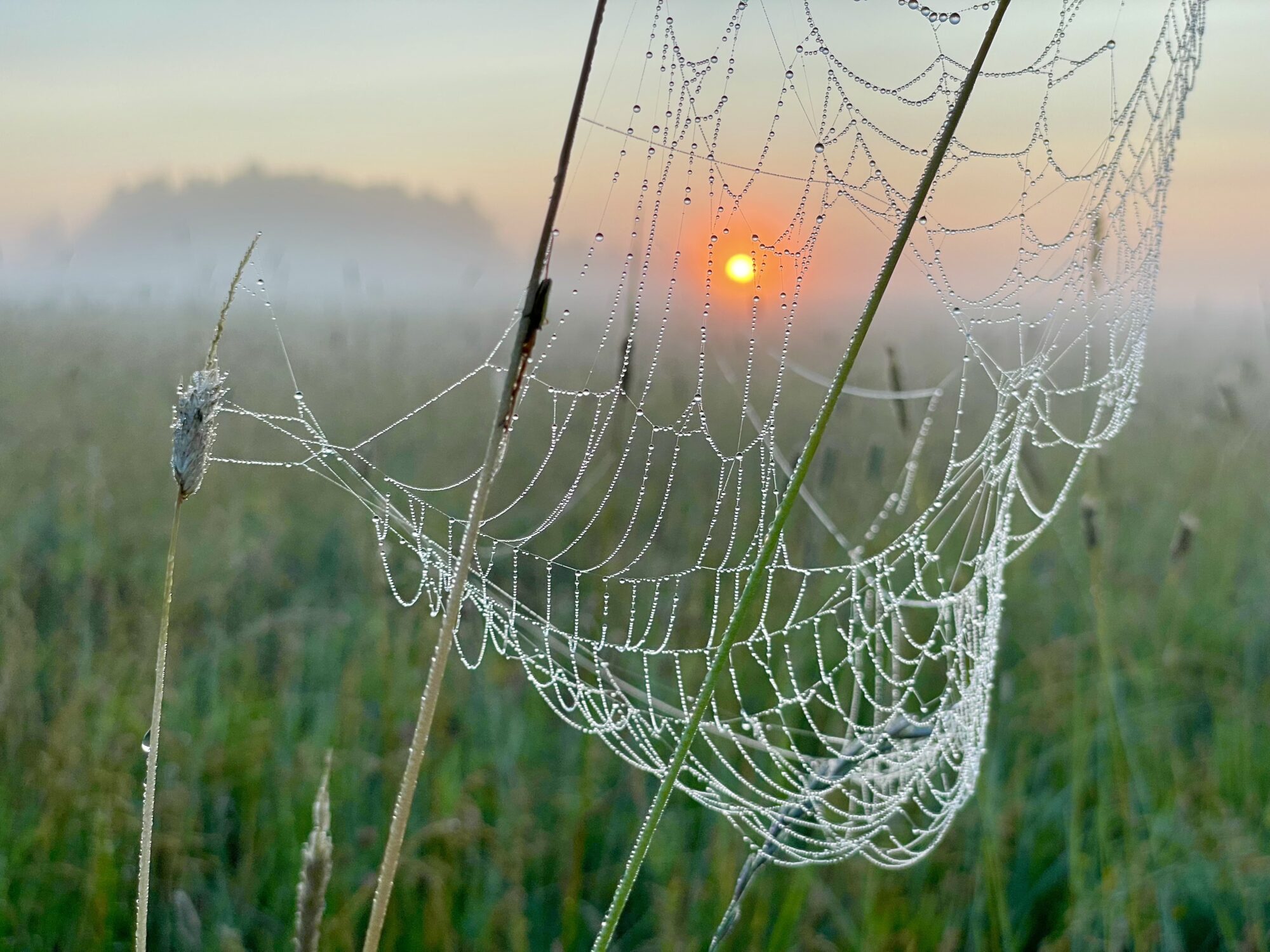 Valokuvaaja: Juhani Peltonen