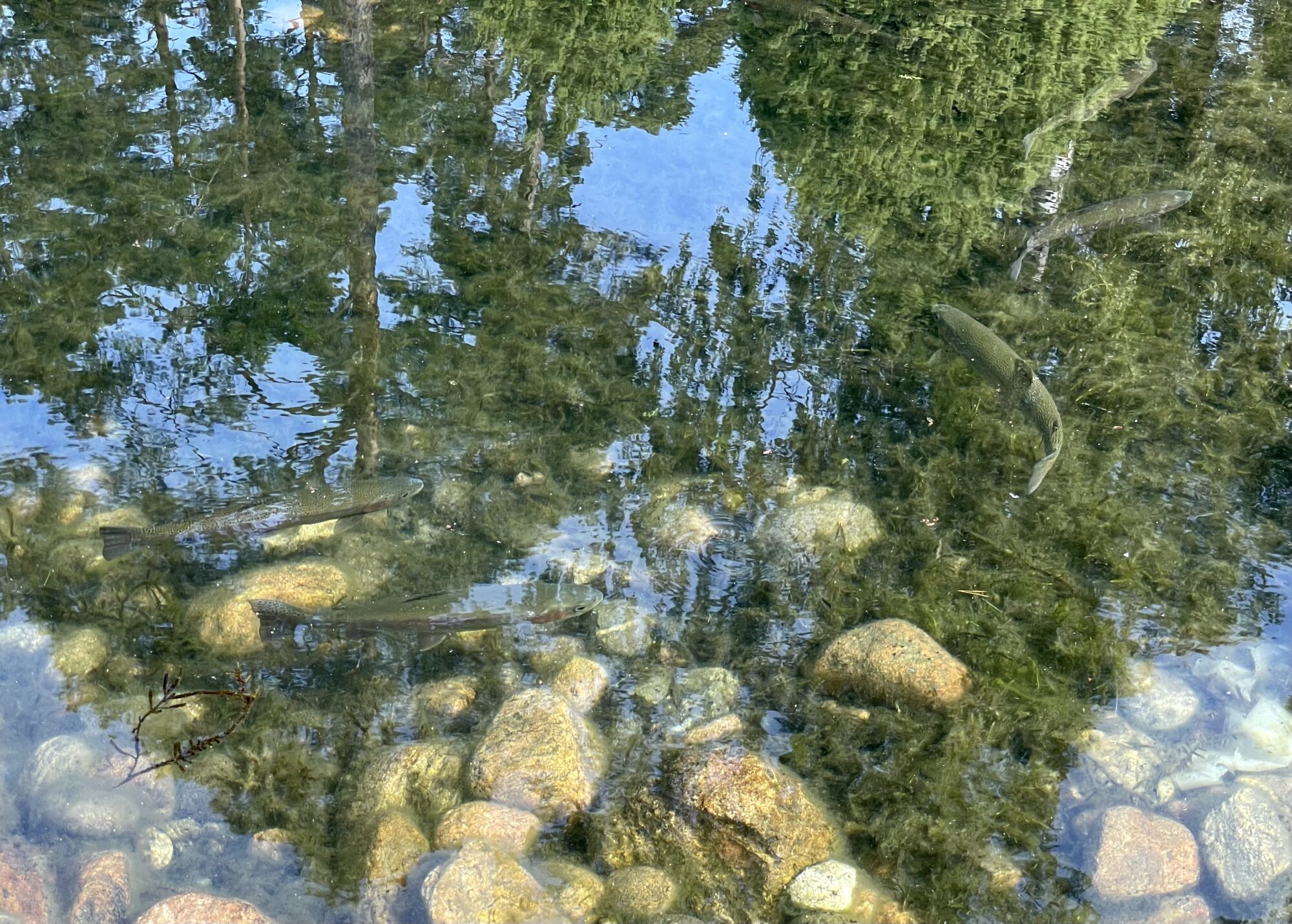 Valokuvaaja: Juhani Peltonen