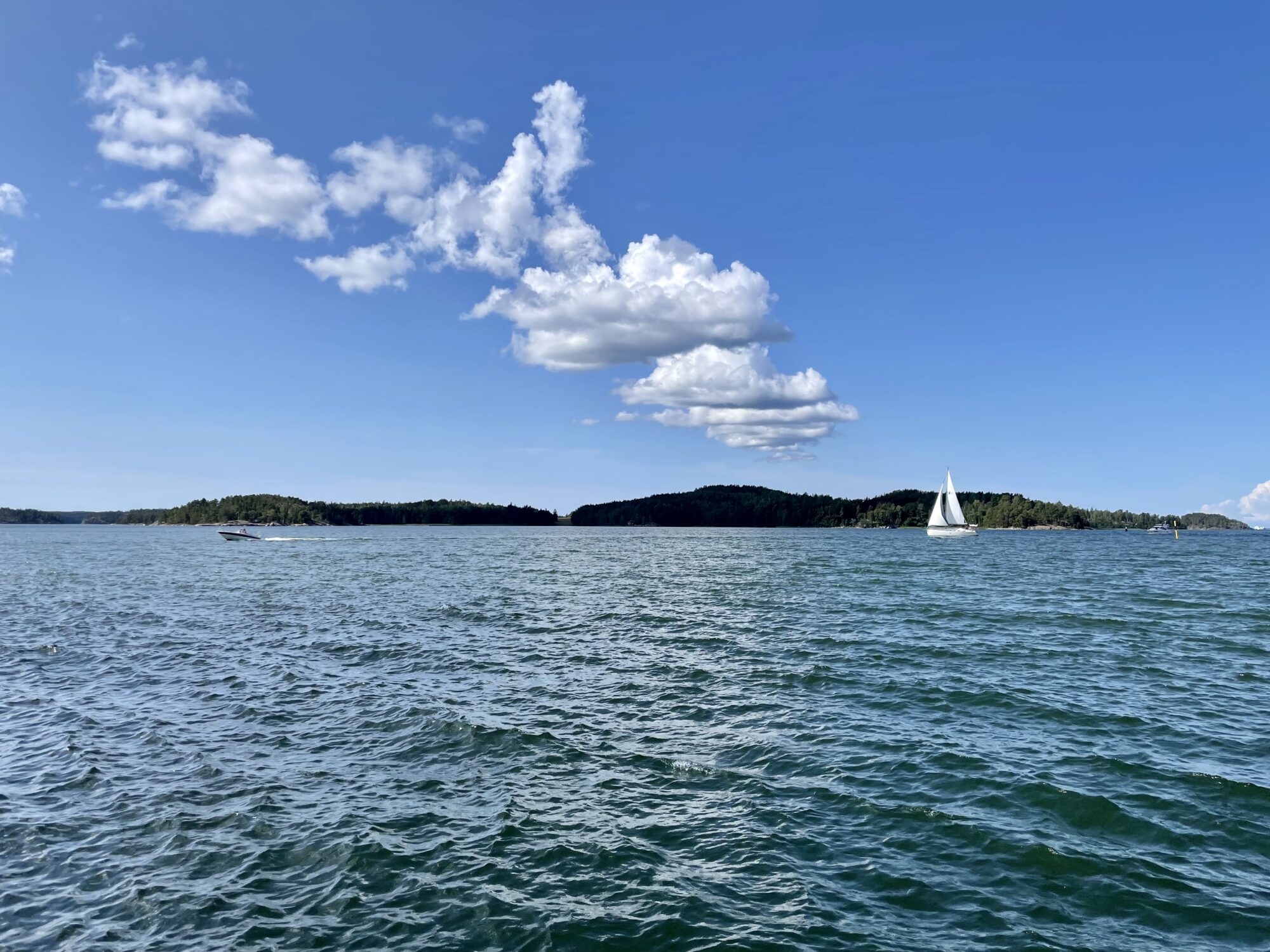 Valokuvaaja: Juhani Peltonen