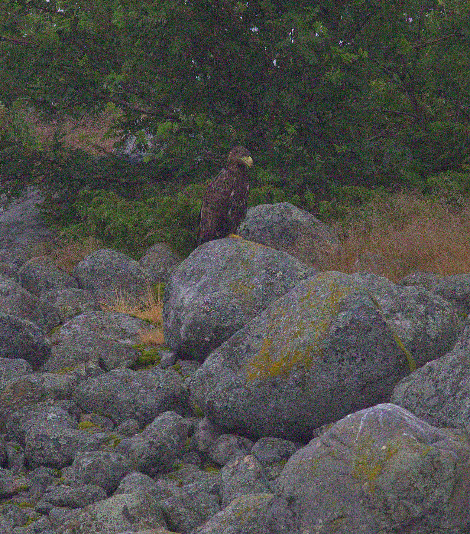 Valokuvaaja: Tapio Keinonen