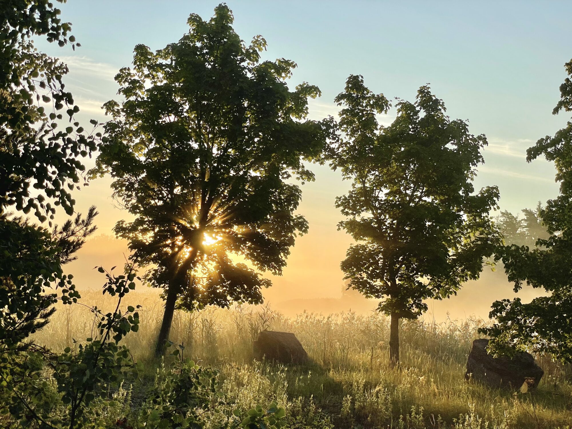 Valokuvaaja: Juhani Peltonen