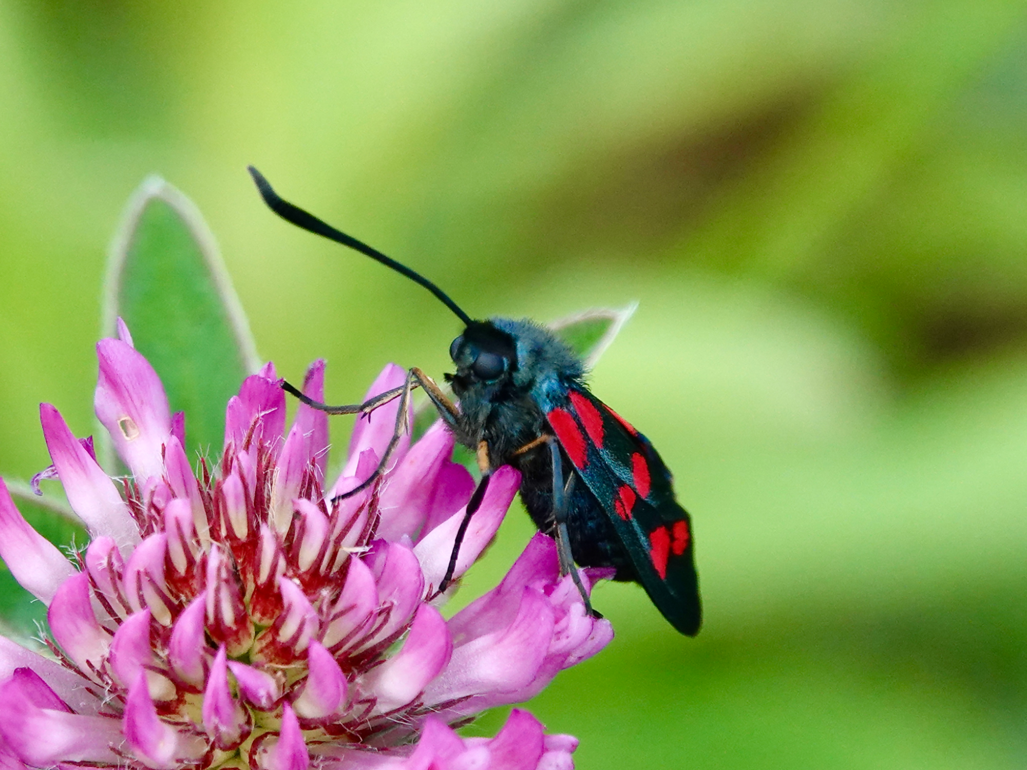 Valokuvaaja: Juha Naukkarinen