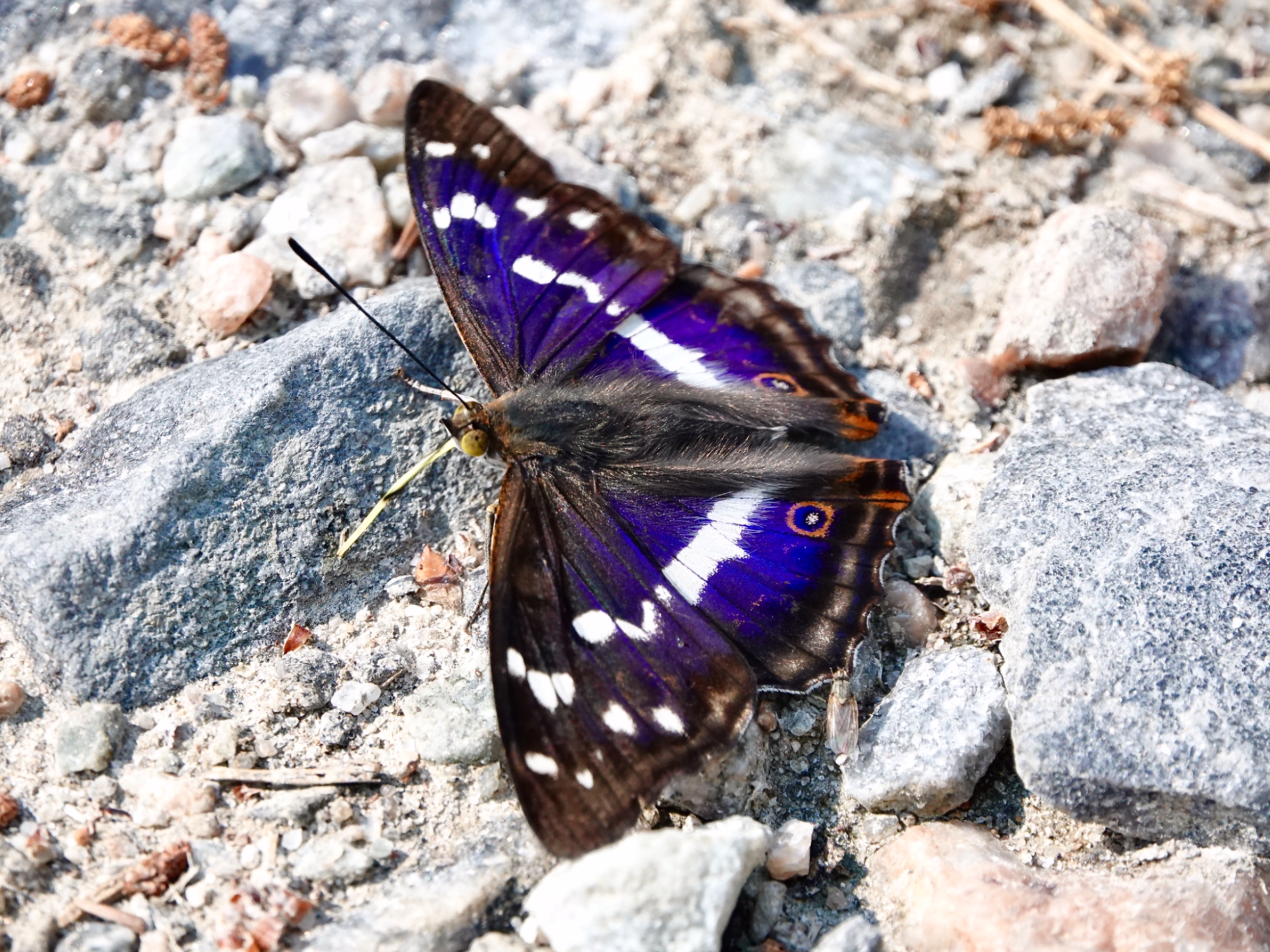 Valokuvaaja: Juha Naukkarinen