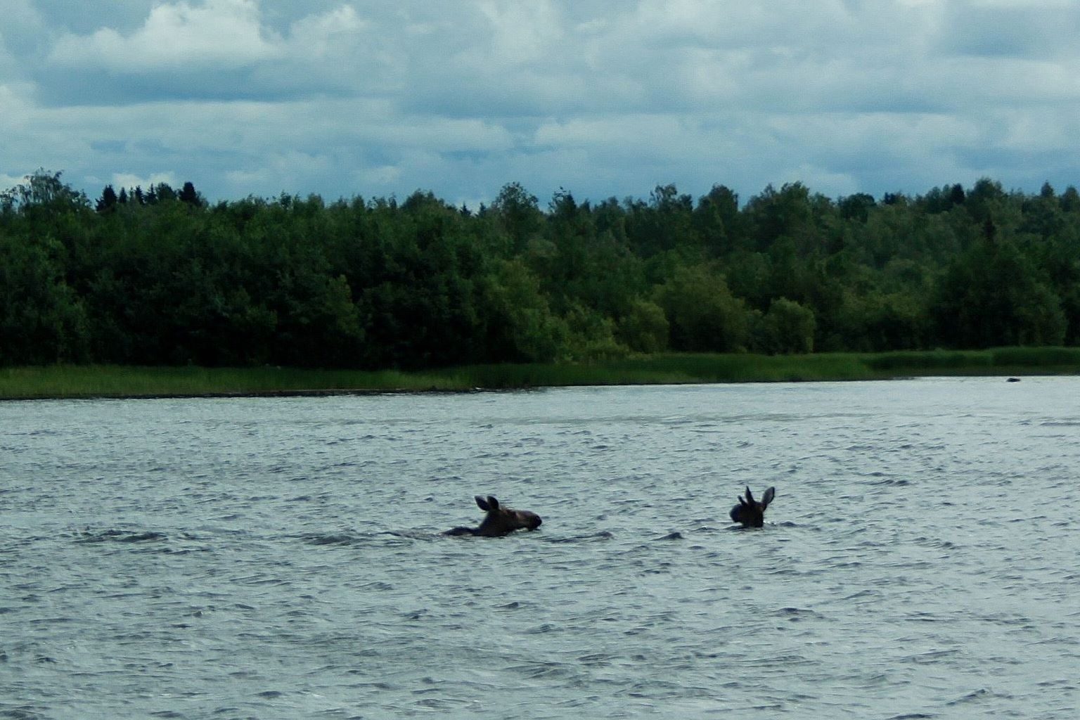 Valokuvaaja: Pirkko Siukonen
