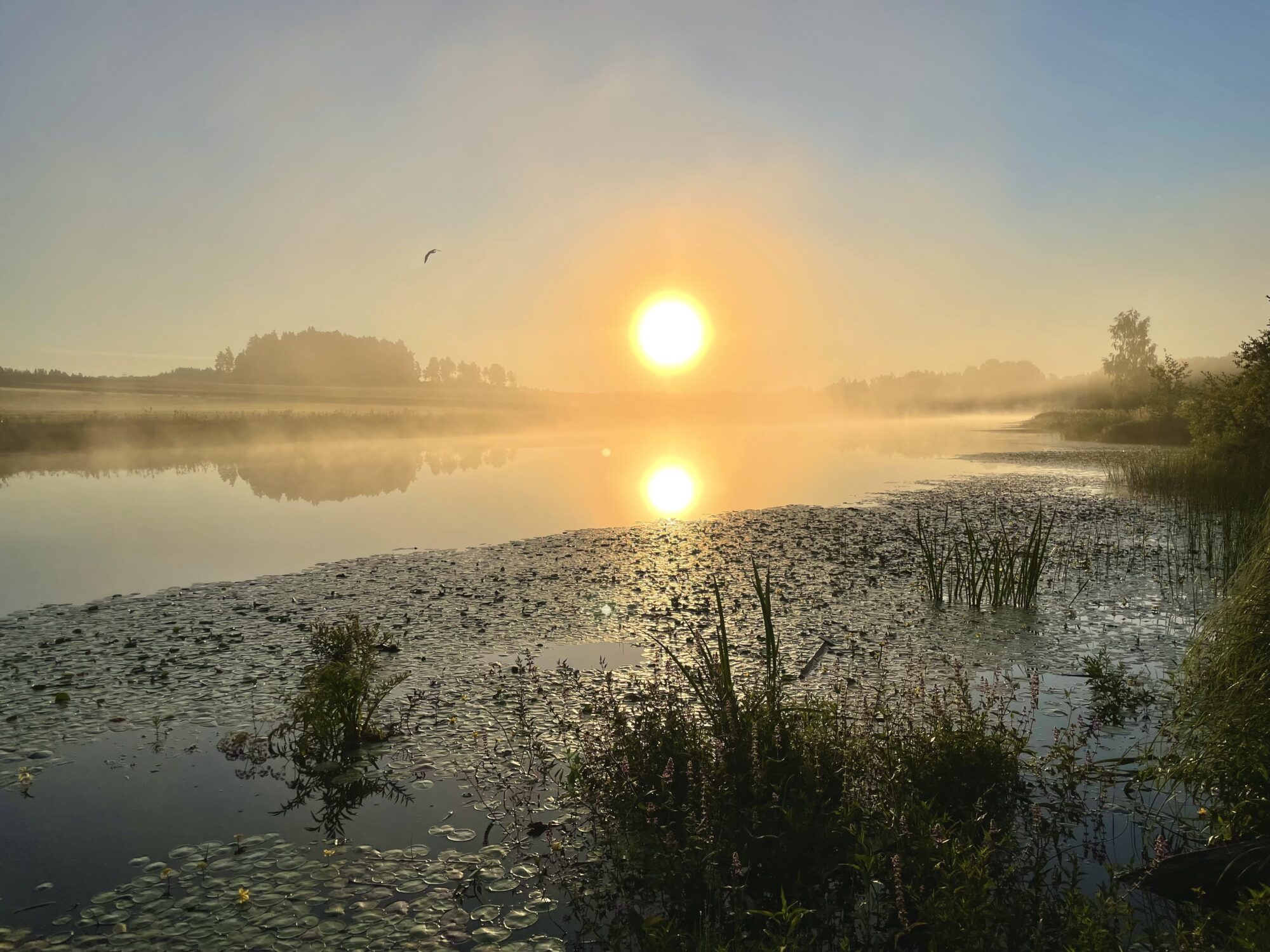 Valokuvaaja: Juhani Peltonen