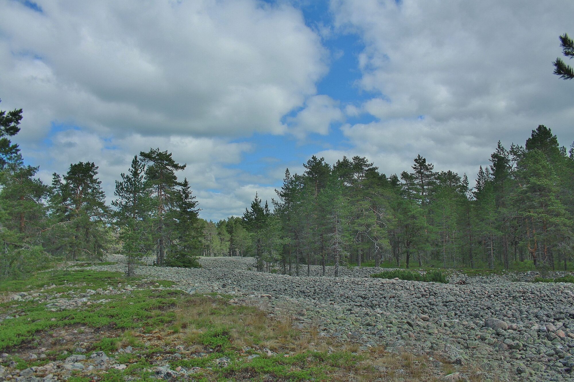 Valokuvaaja: Pirkko Siukonen