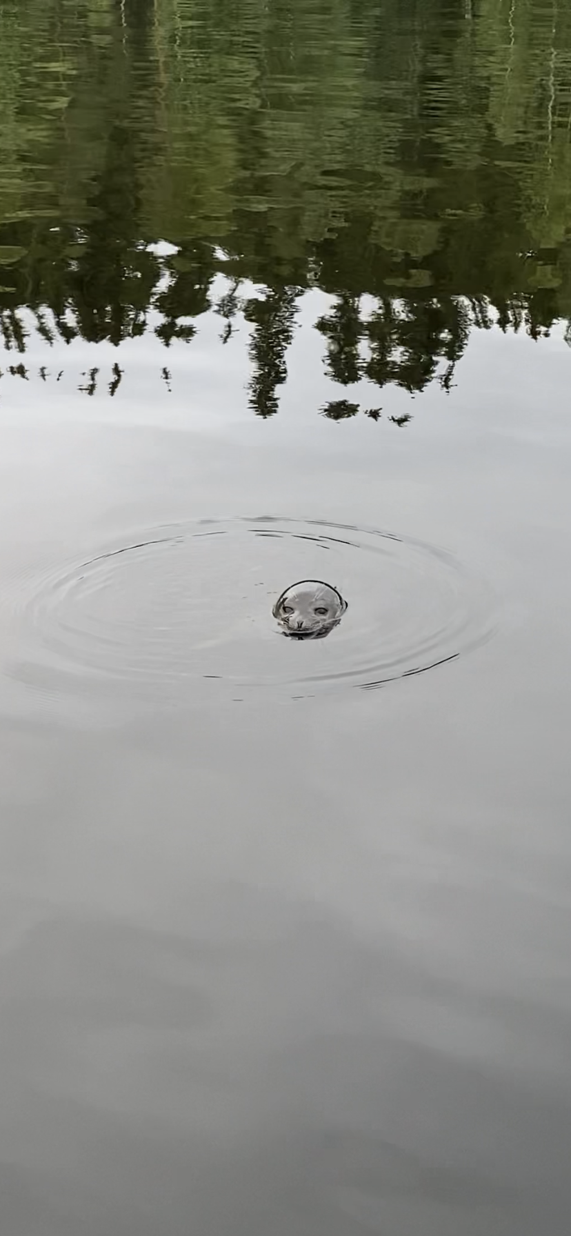 Valokuvaaja: Mikko Siikavesi