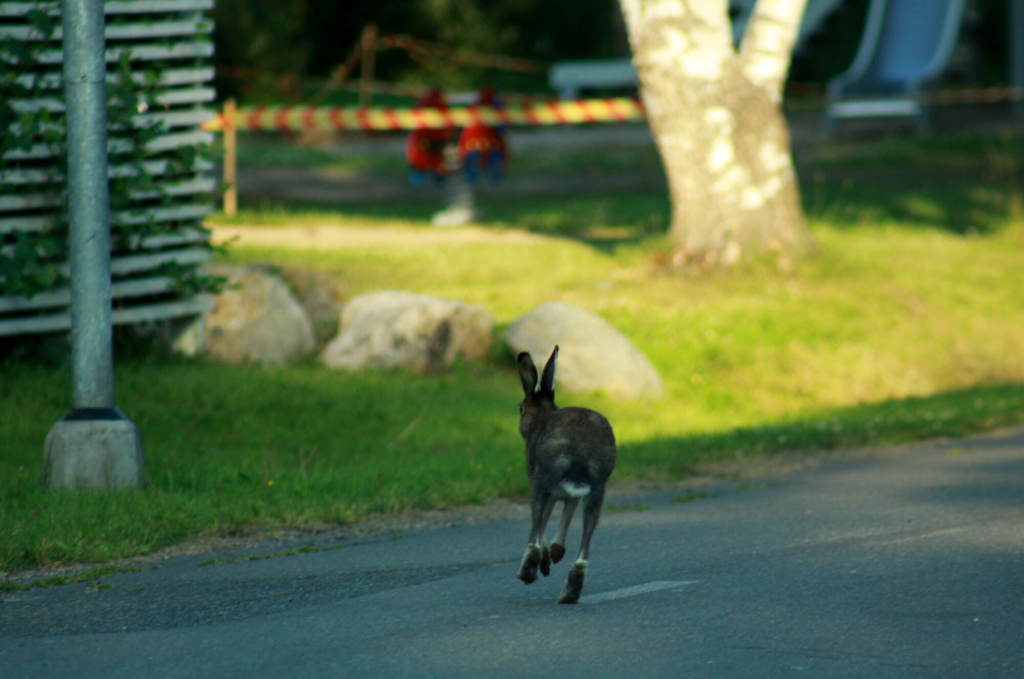 Valokuvaaja: Pirkko Siukonen
