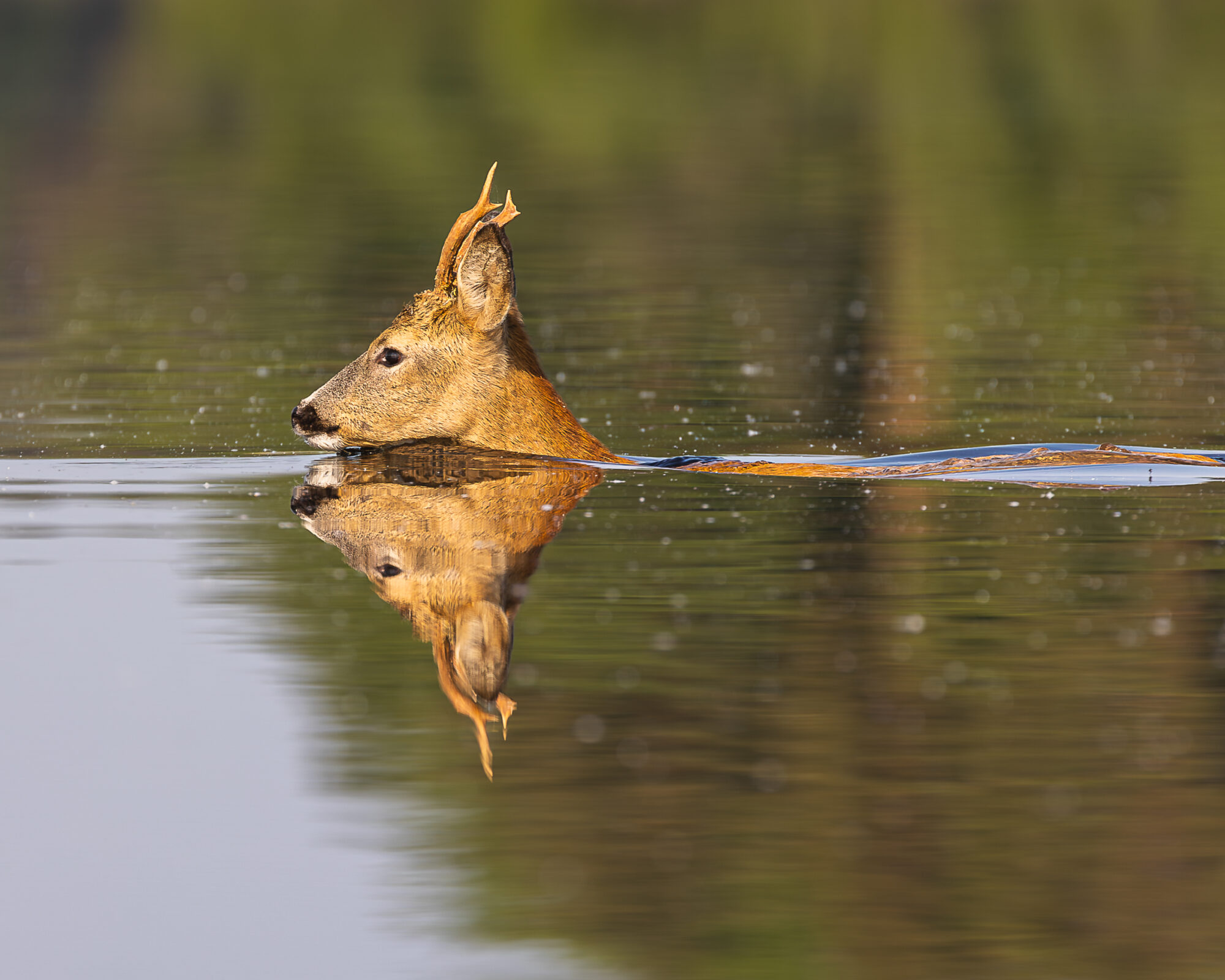 Valokuvaaja: Mikko Kallio