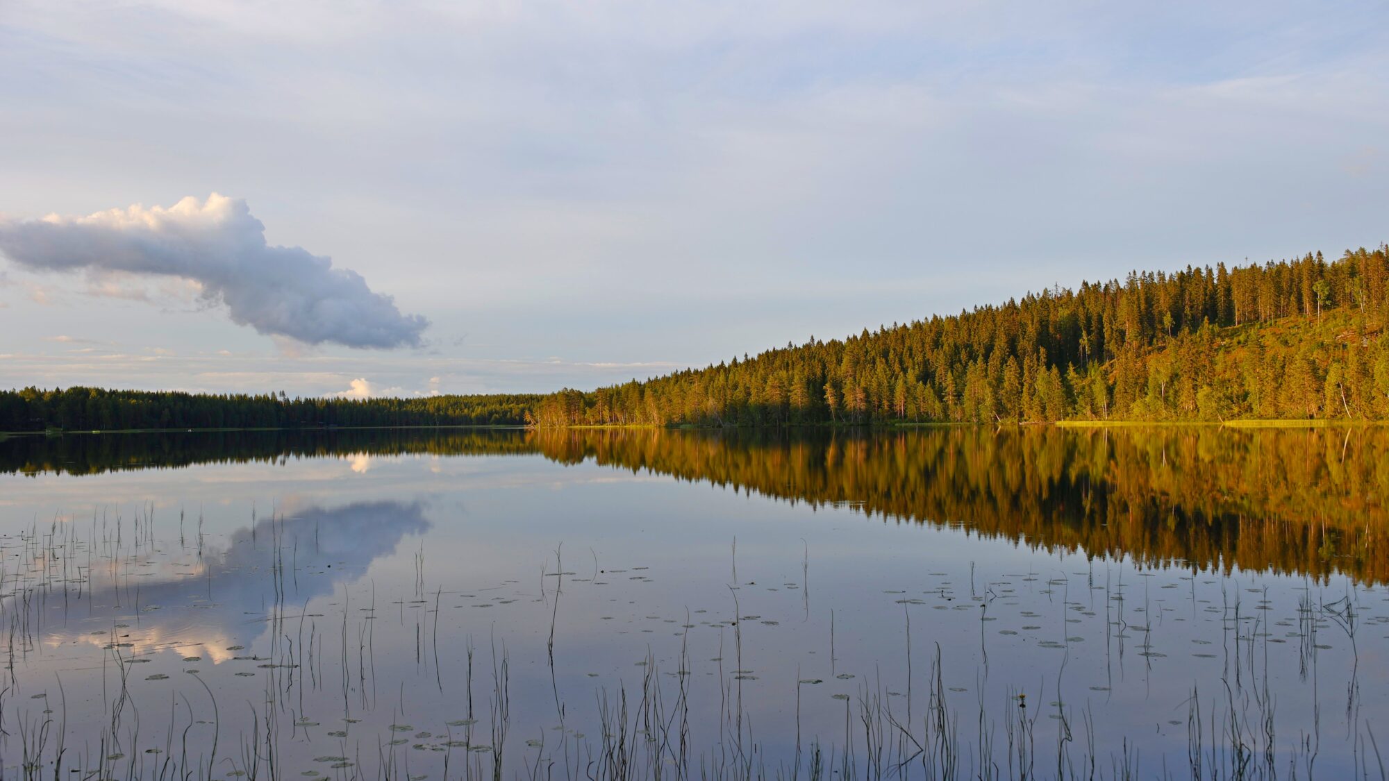 Valokuvaaja: TOMMI KUJALA