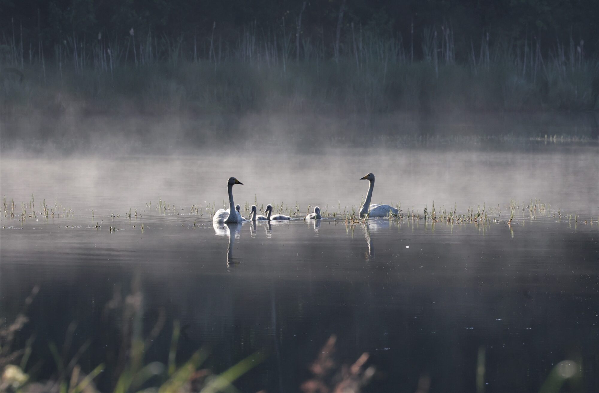 Valokuvaaja: Ari Lempiäinen