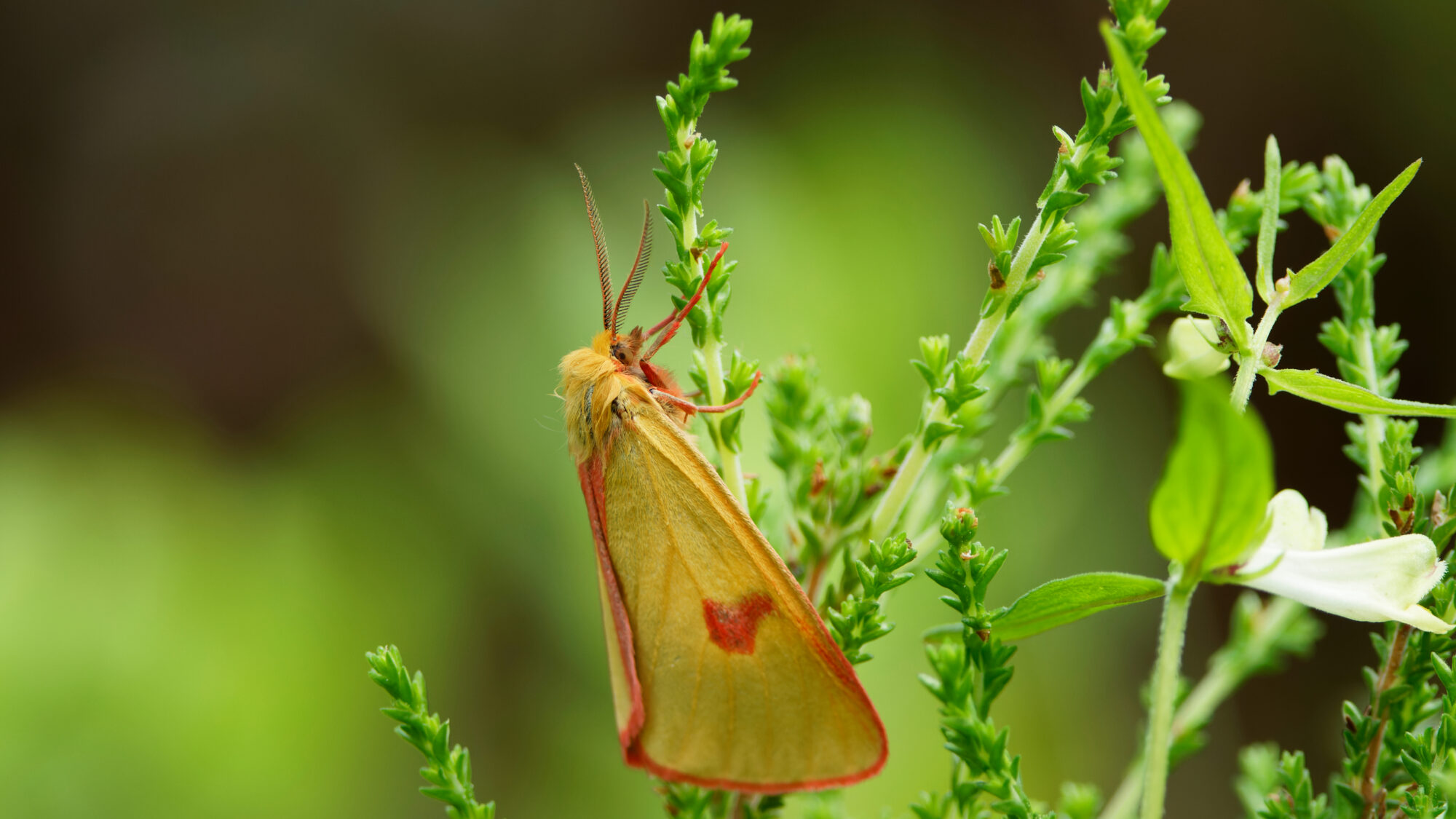 Valokuvaaja: TOMMI KUJALA